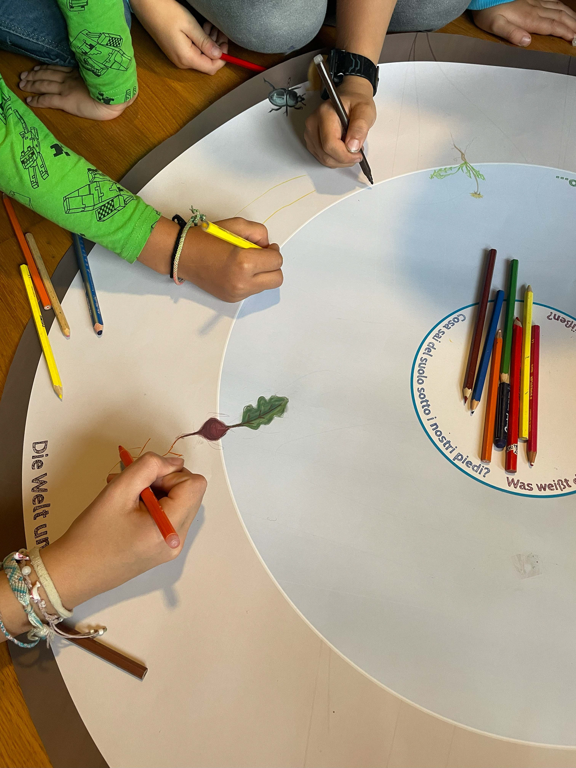 Module 1: Algund Alto Adige