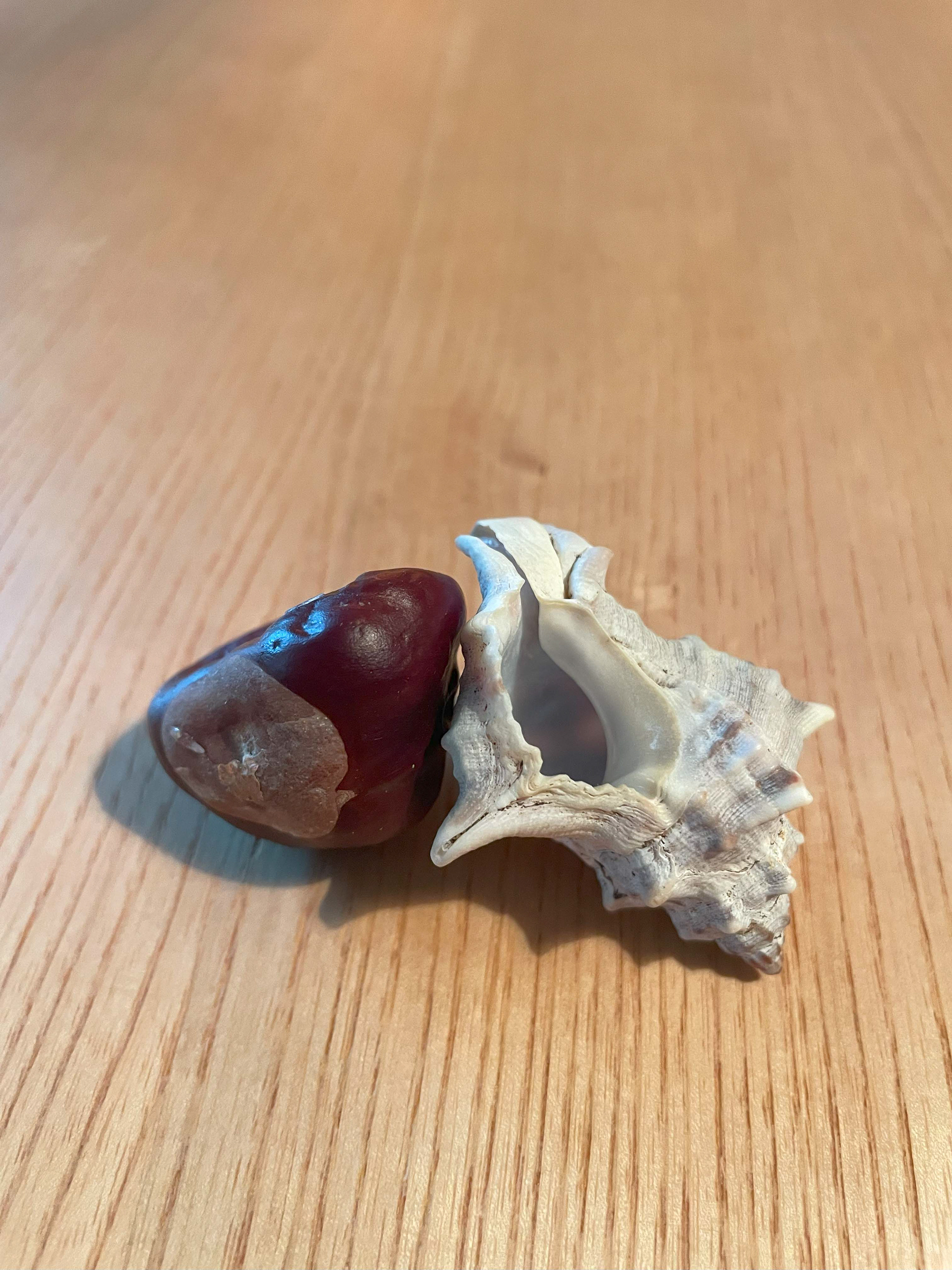 Module 3: Alternative Playing Figures - Chestnut and Shell