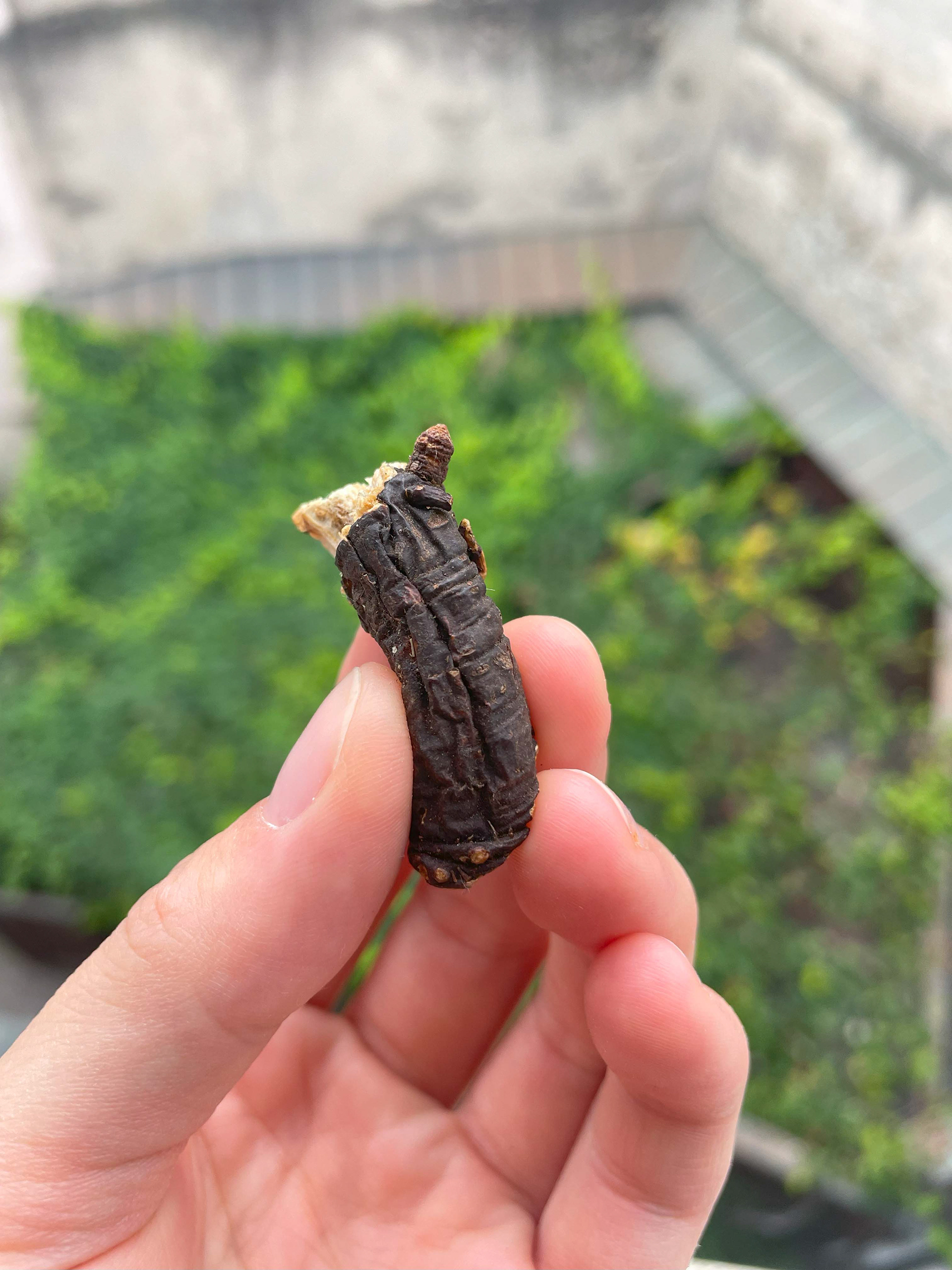 Module 3: Alternative Playing Figures - Wood Stick