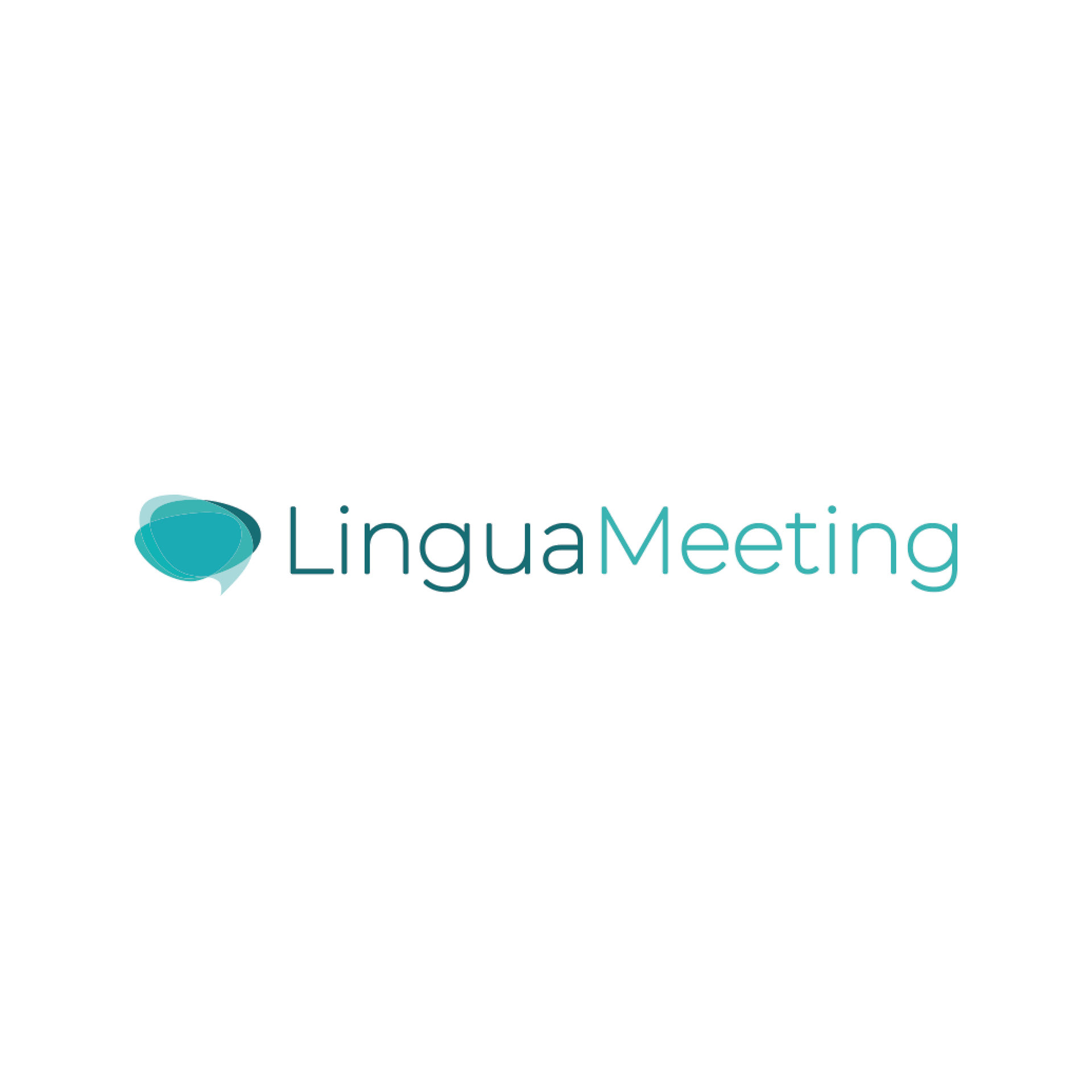 Lingua Meeting - USA