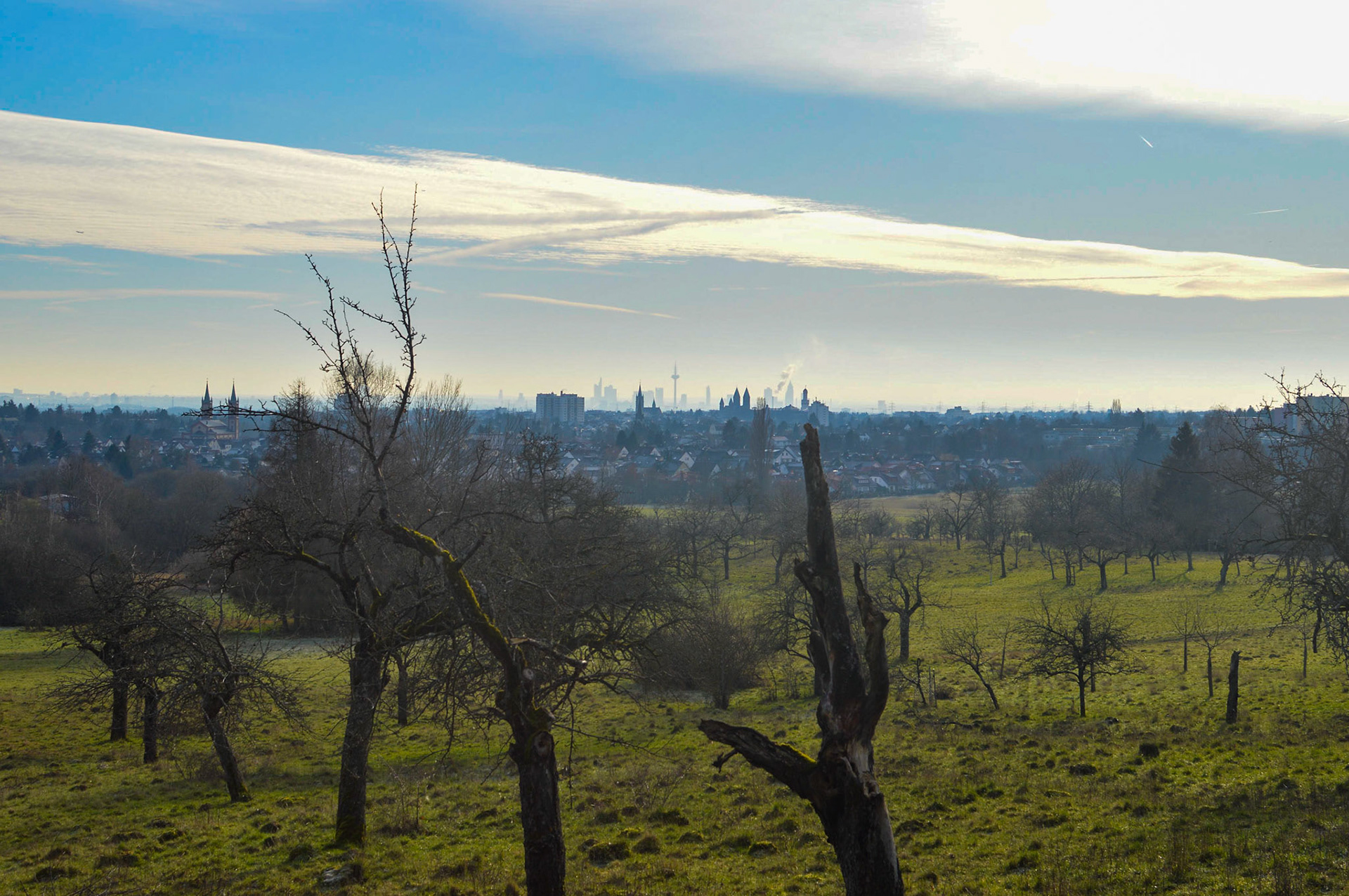 Blick auf Frankfurt