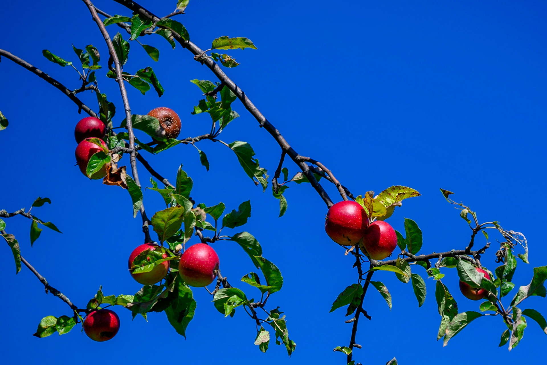 Gesendet an: Steffen
