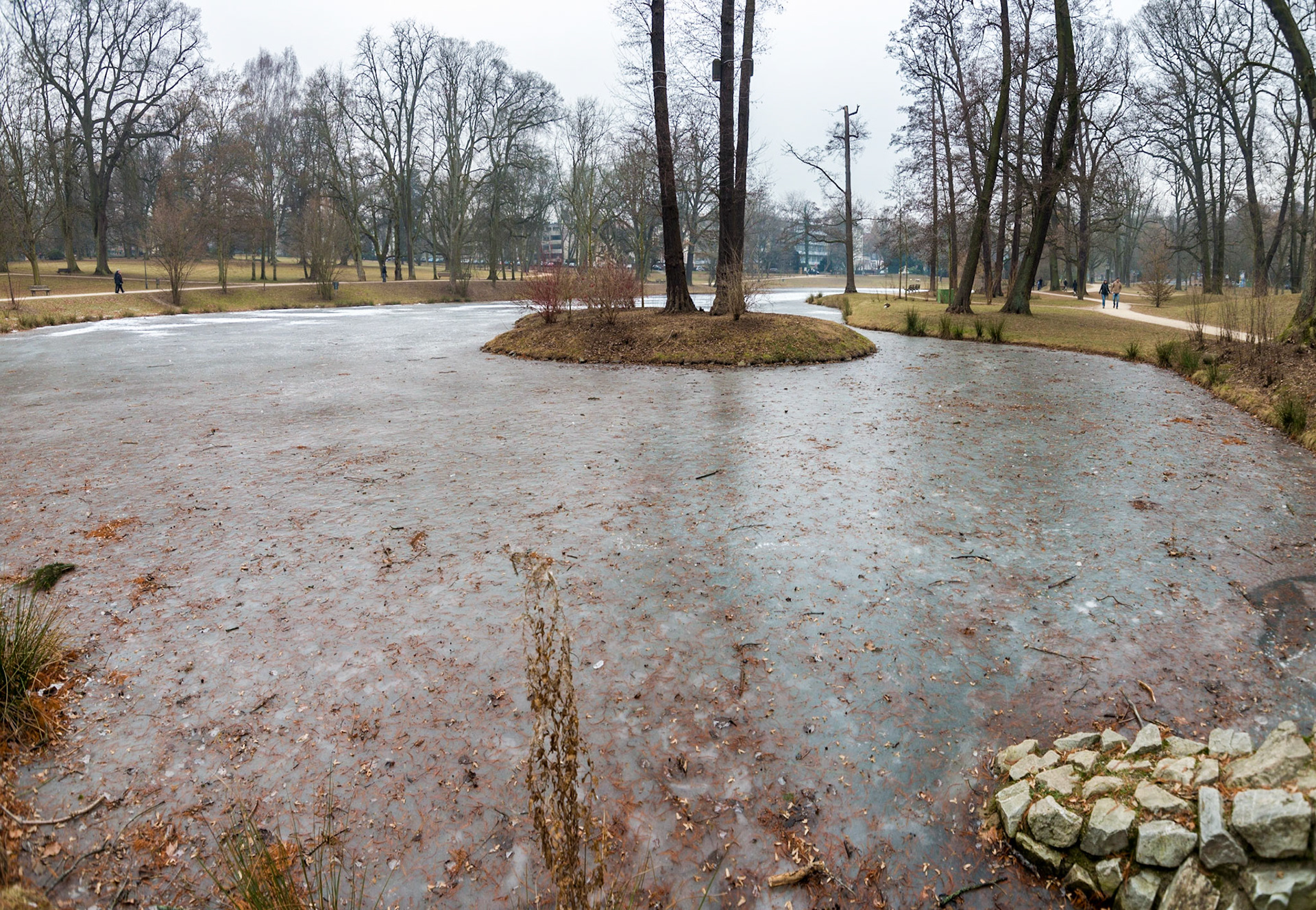 Zugefrorener Schwanenteich im Bad Hombuger Kurpark