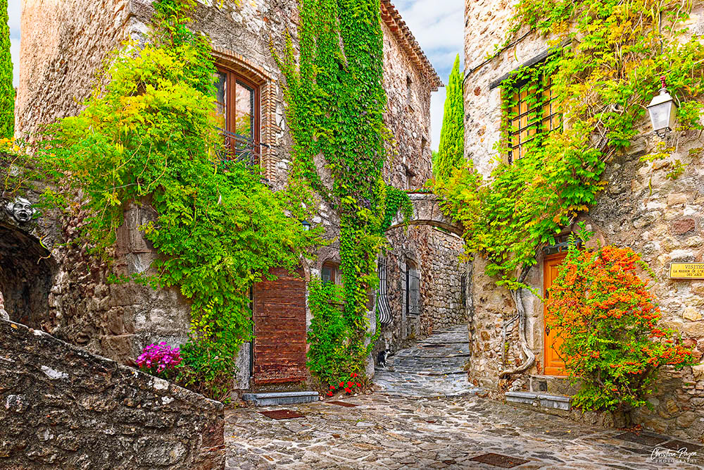 Les Arcs sur Argens (South of France) Photo