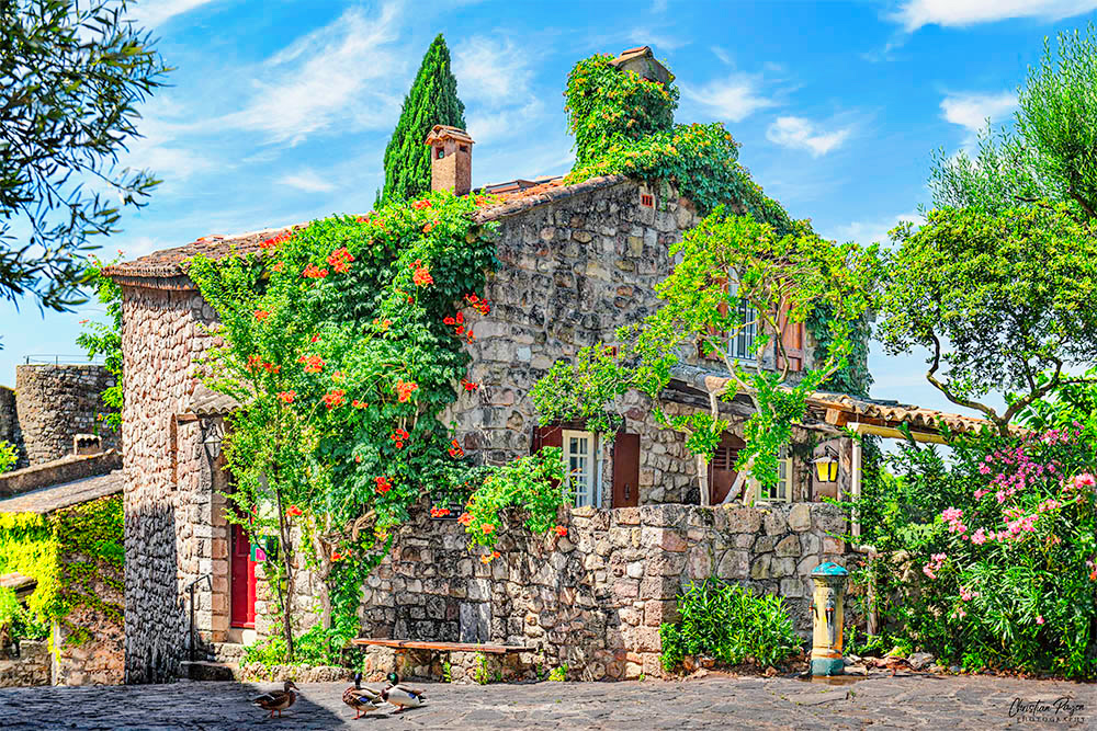 Les Arcs sur Argens (South of France) Photo