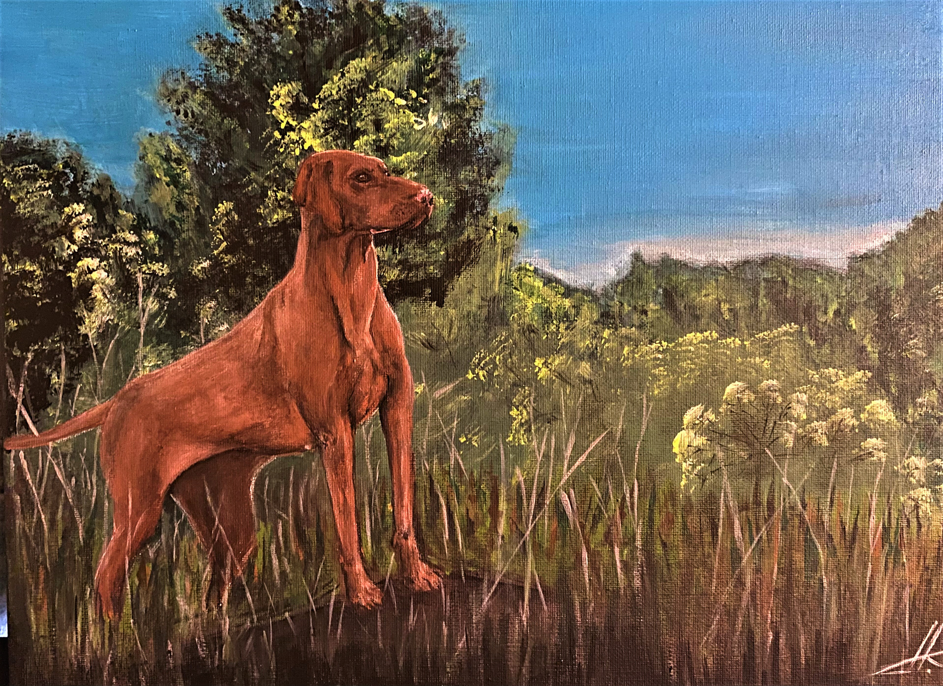 Molly - acrylic on canvas - 50x40 cm