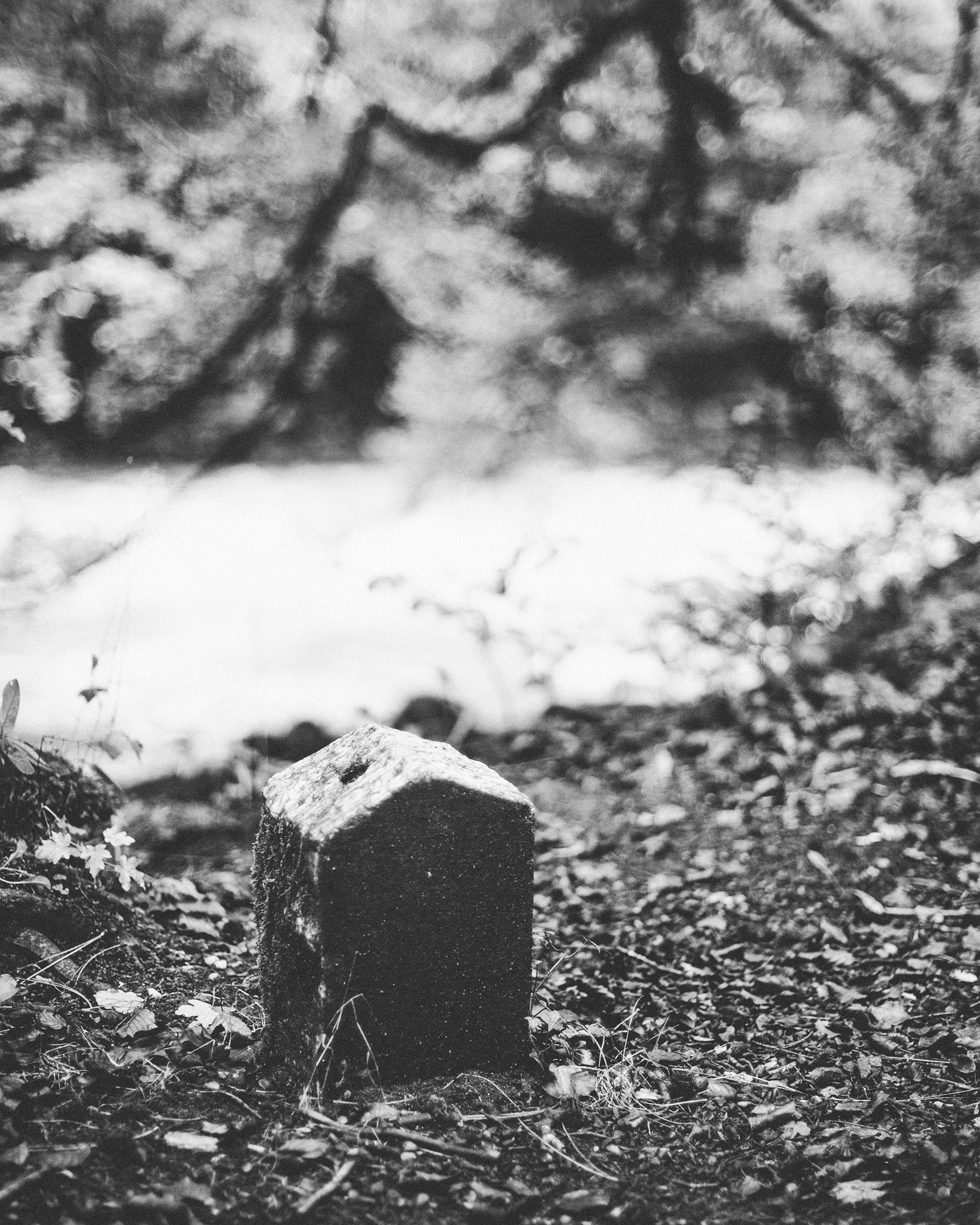 Day 12: Grave