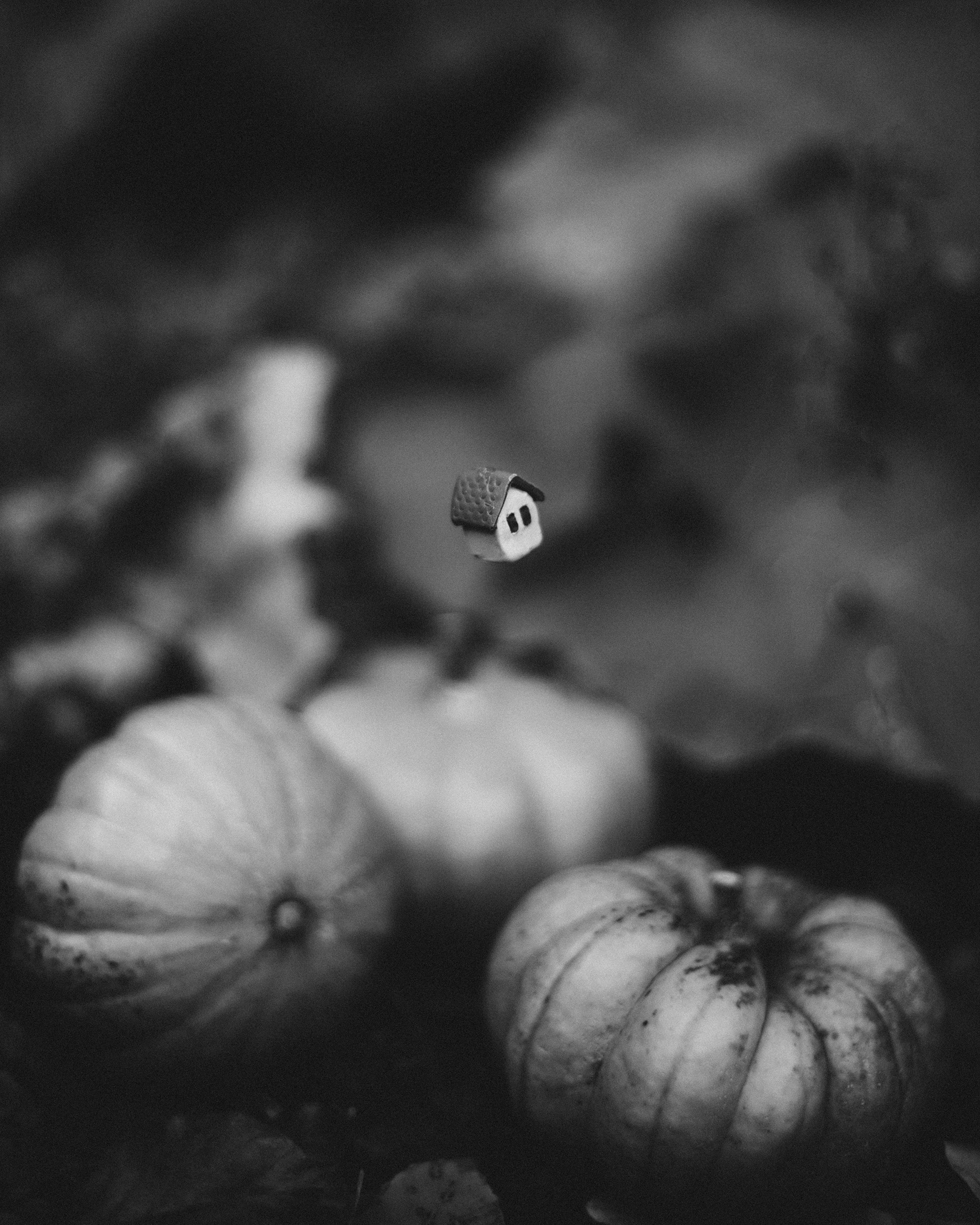 Day 2: Pumpkin