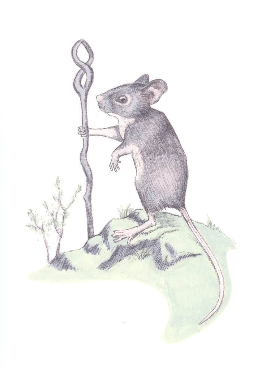 Graphite and marker, 10x15cm, 2018