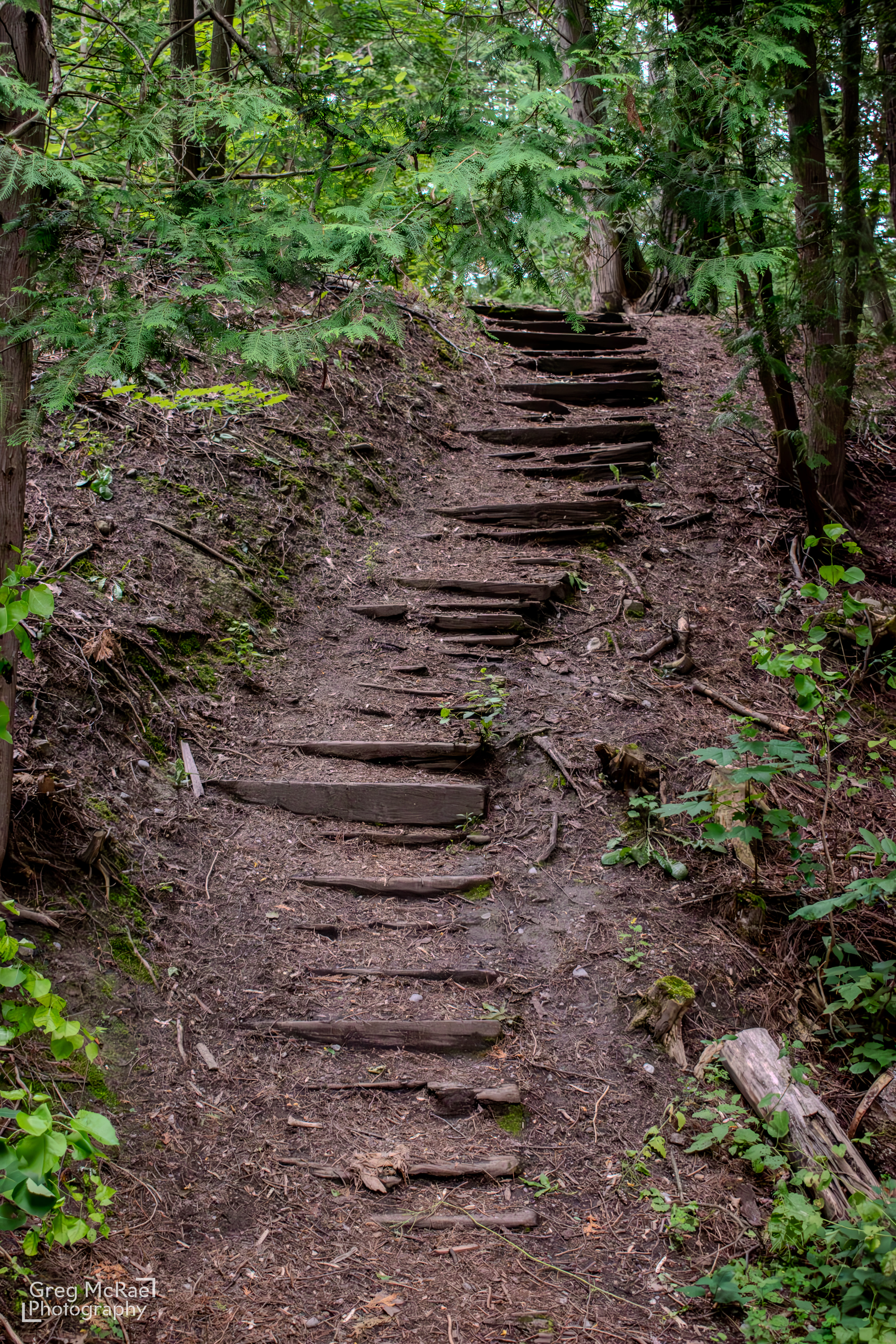 Shot on a Nikon D3500