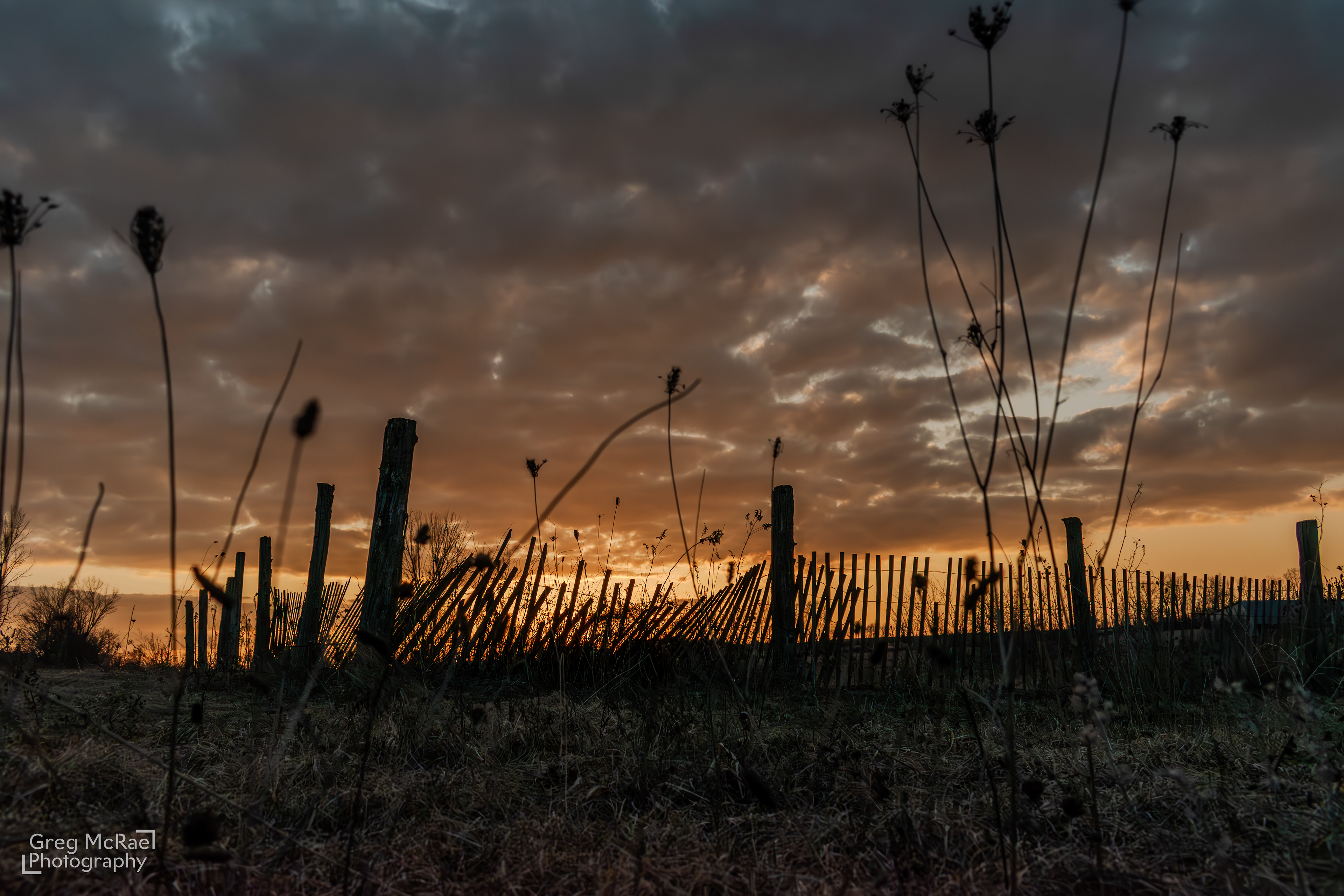 Shot on a Nikon D3500