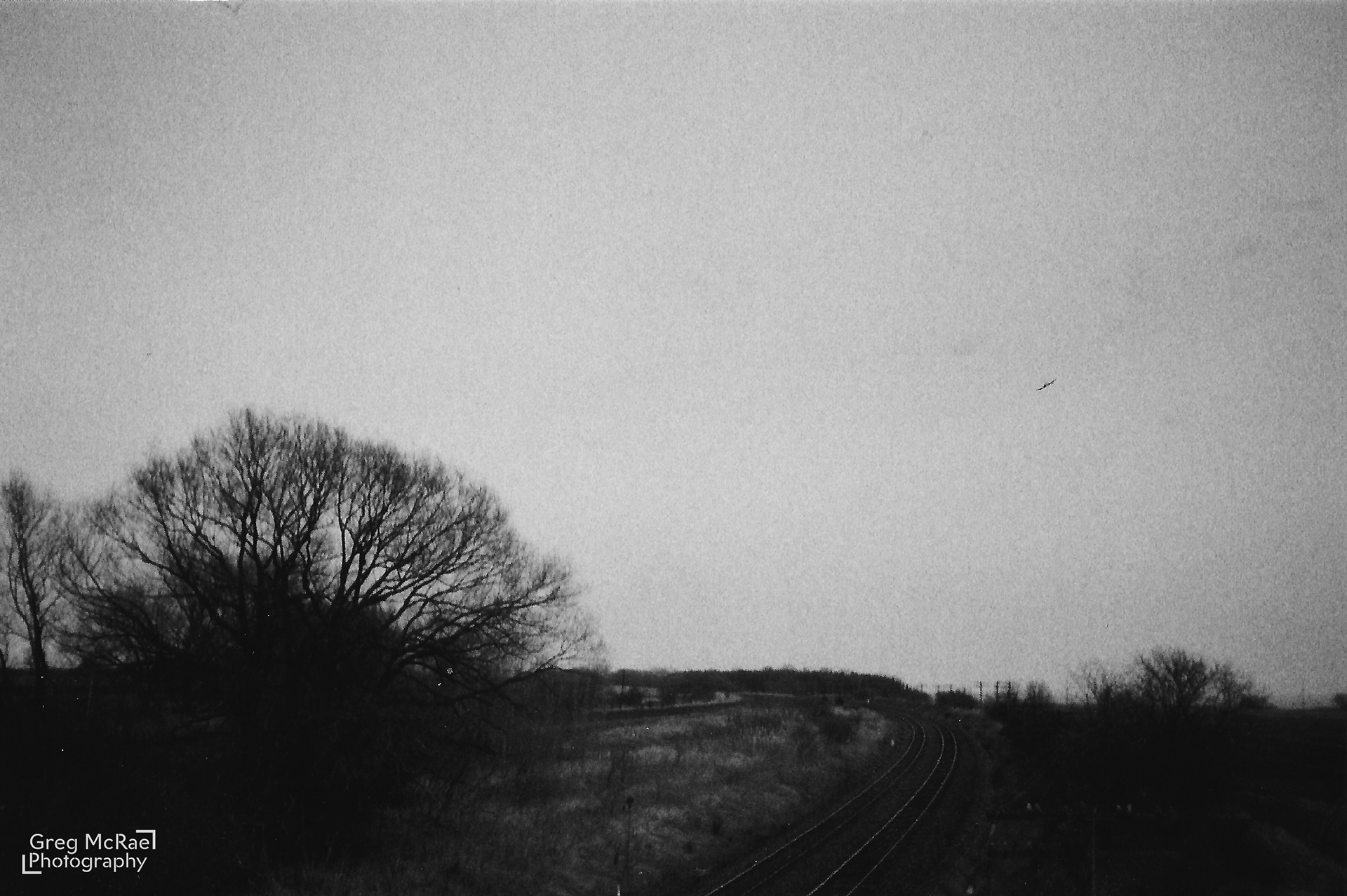 Kentmere B&W 400 ISO 35mm film