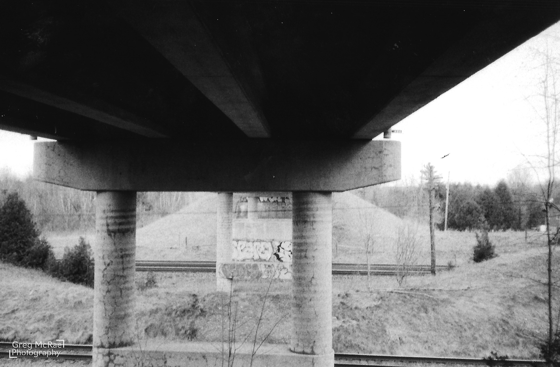 Kentmere B&W 400 ISO 35mm film