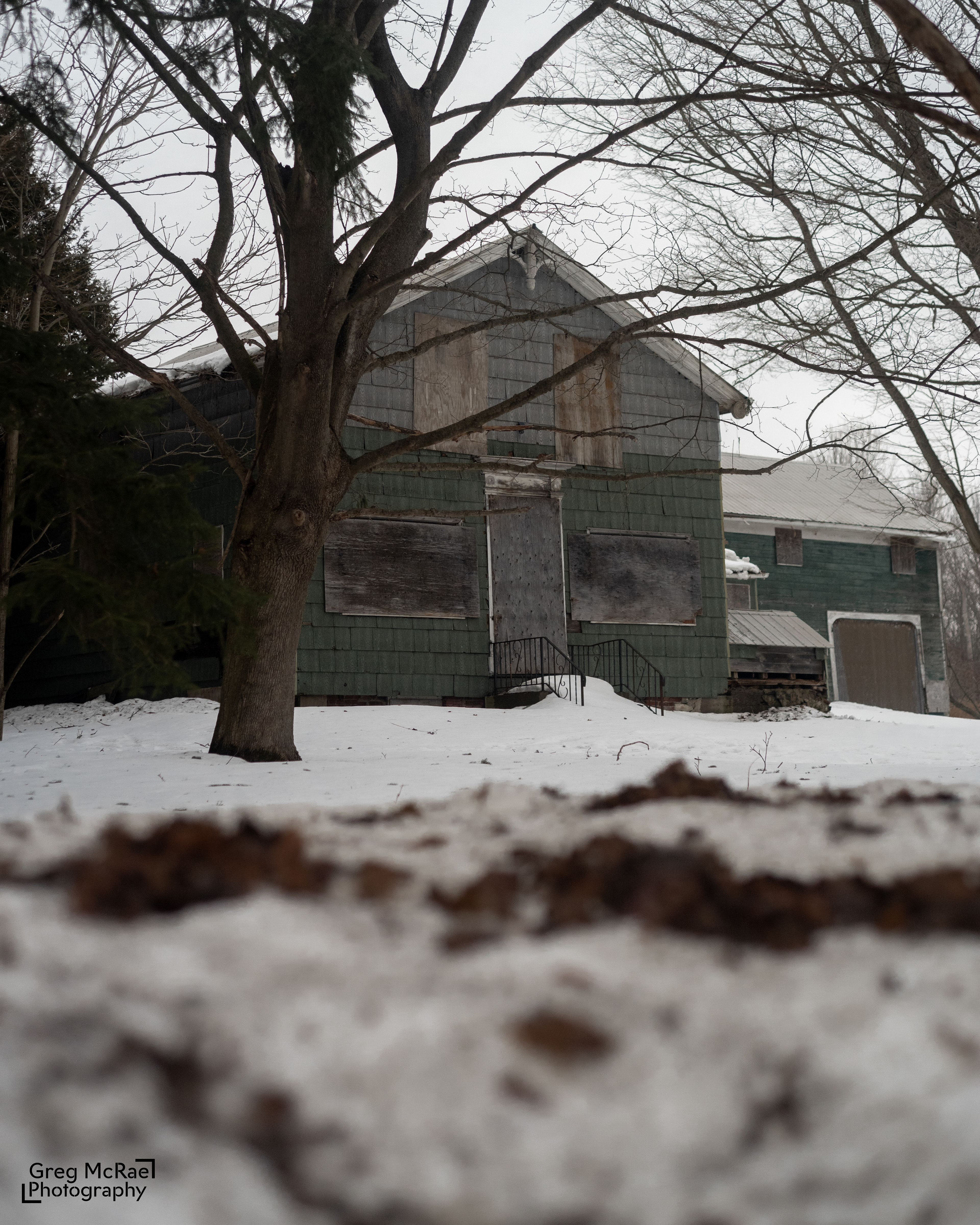 Shot on a Nikon D3500