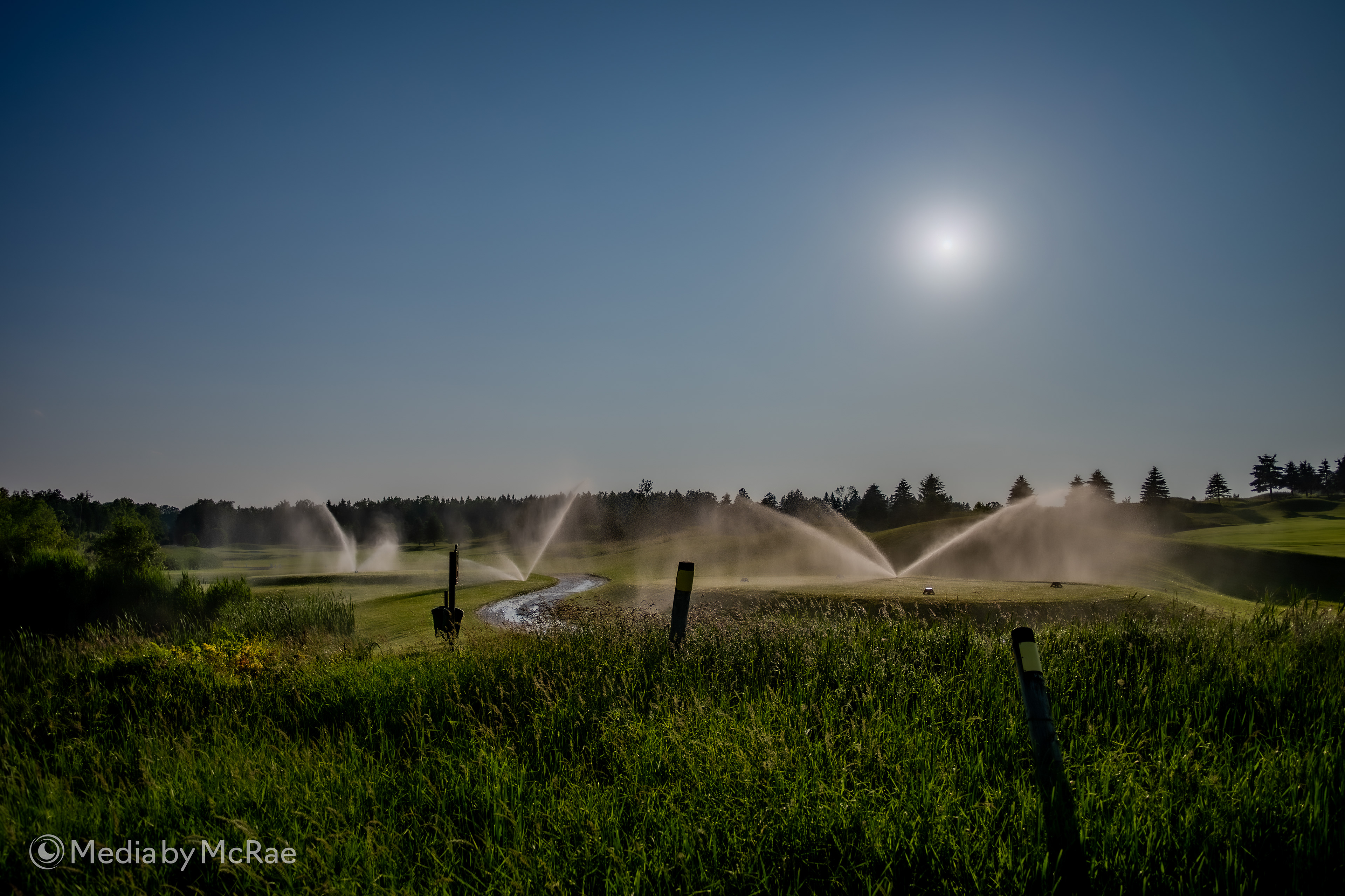 Shot on a Nikon Z6iii