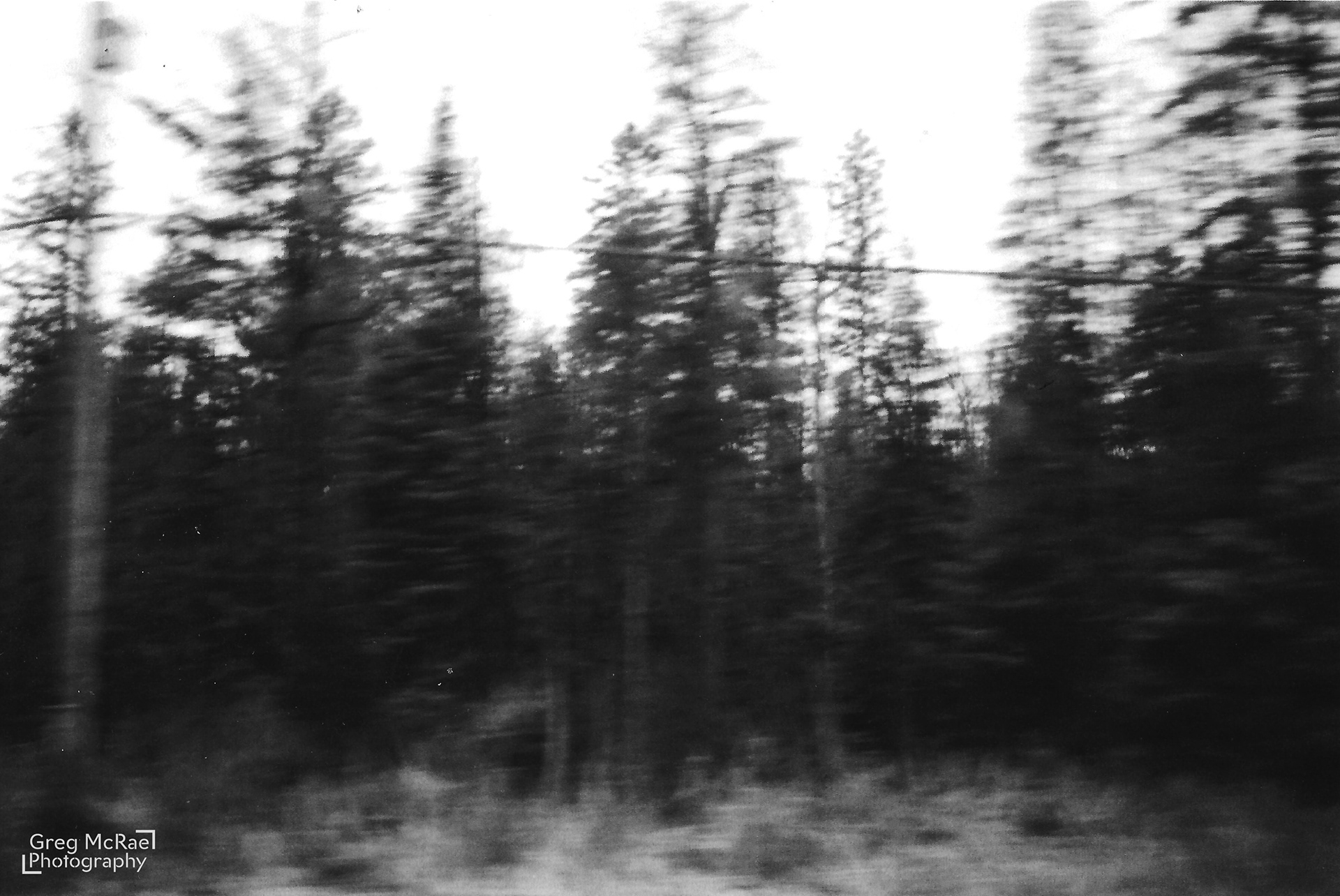 Kentmere B&W 400 ISO 35mm film