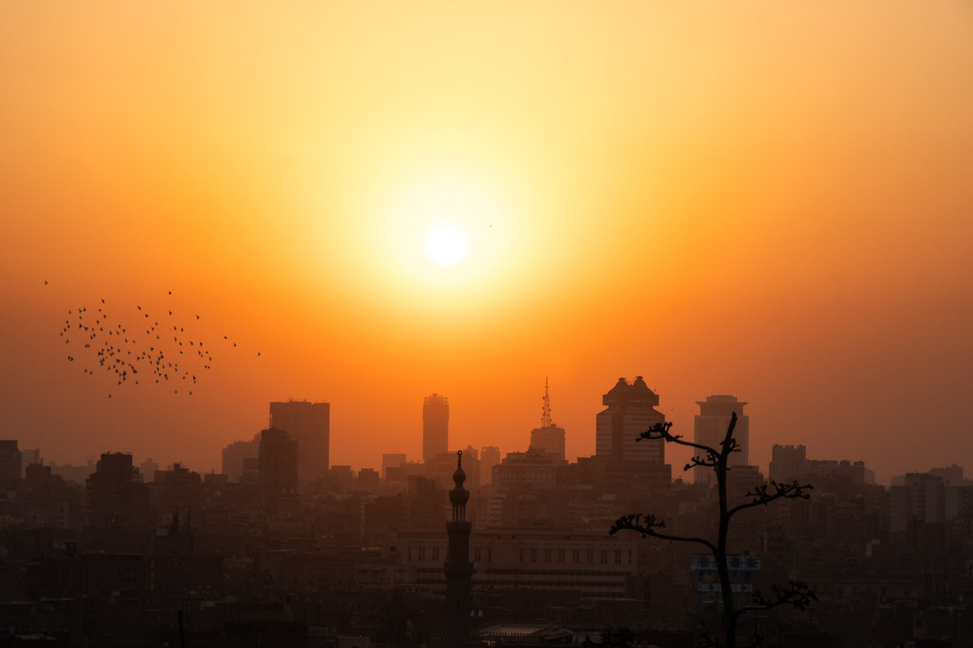 Sunset view from the Al Azhar Park in Cairo, Egypt