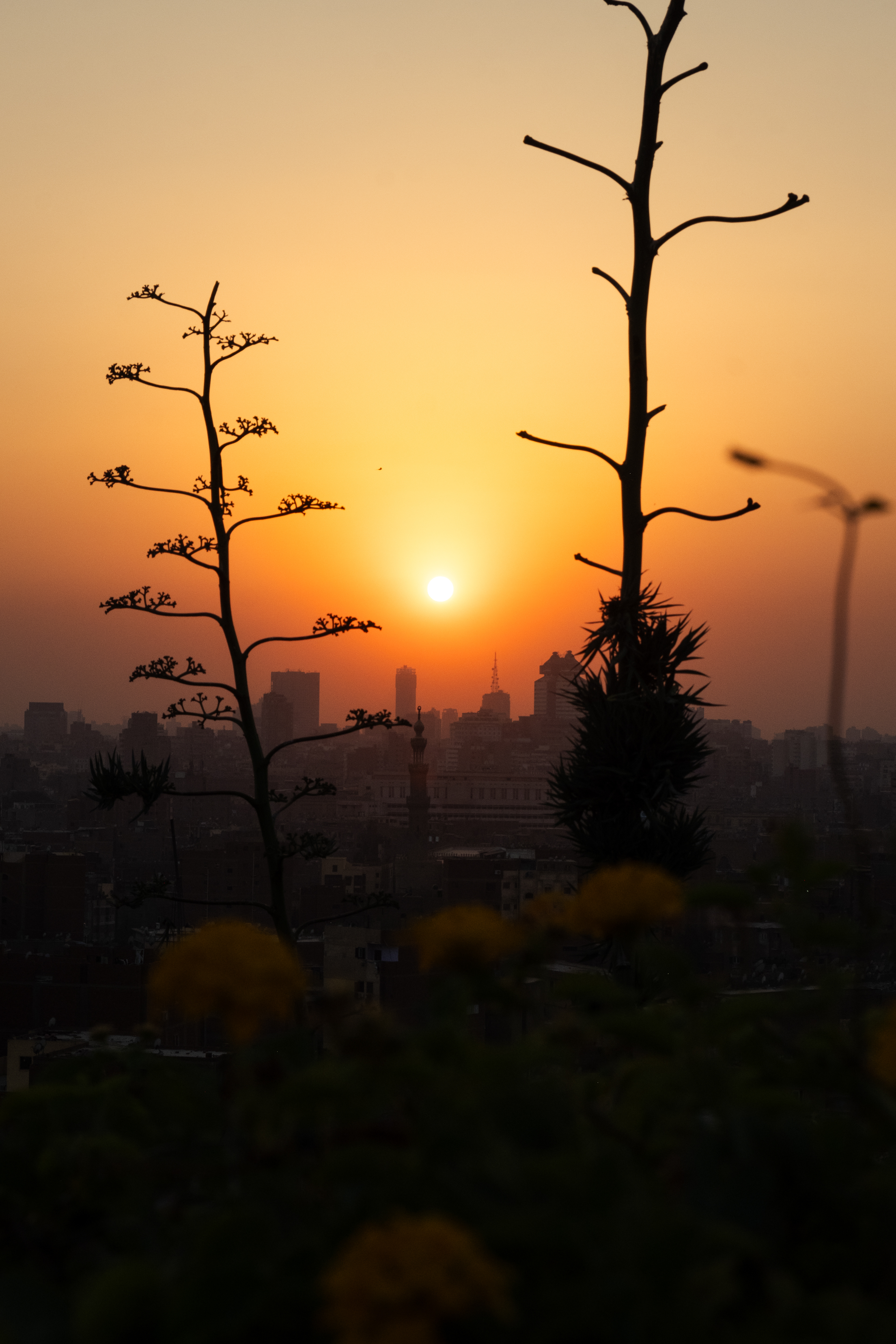 Sunset in Al Azhar Park, Cairo, Egypt