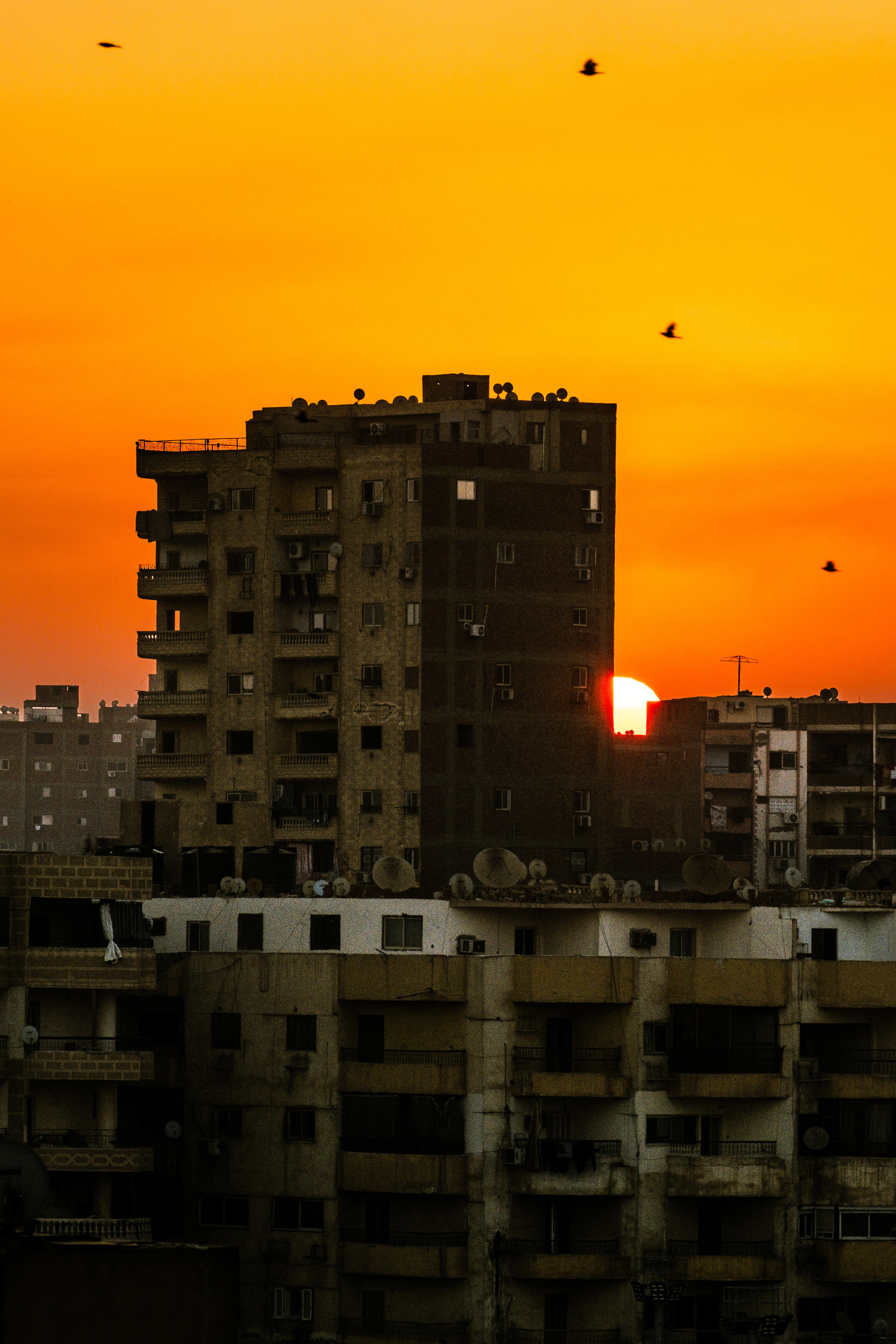 Sunrise in Giza, Egypt