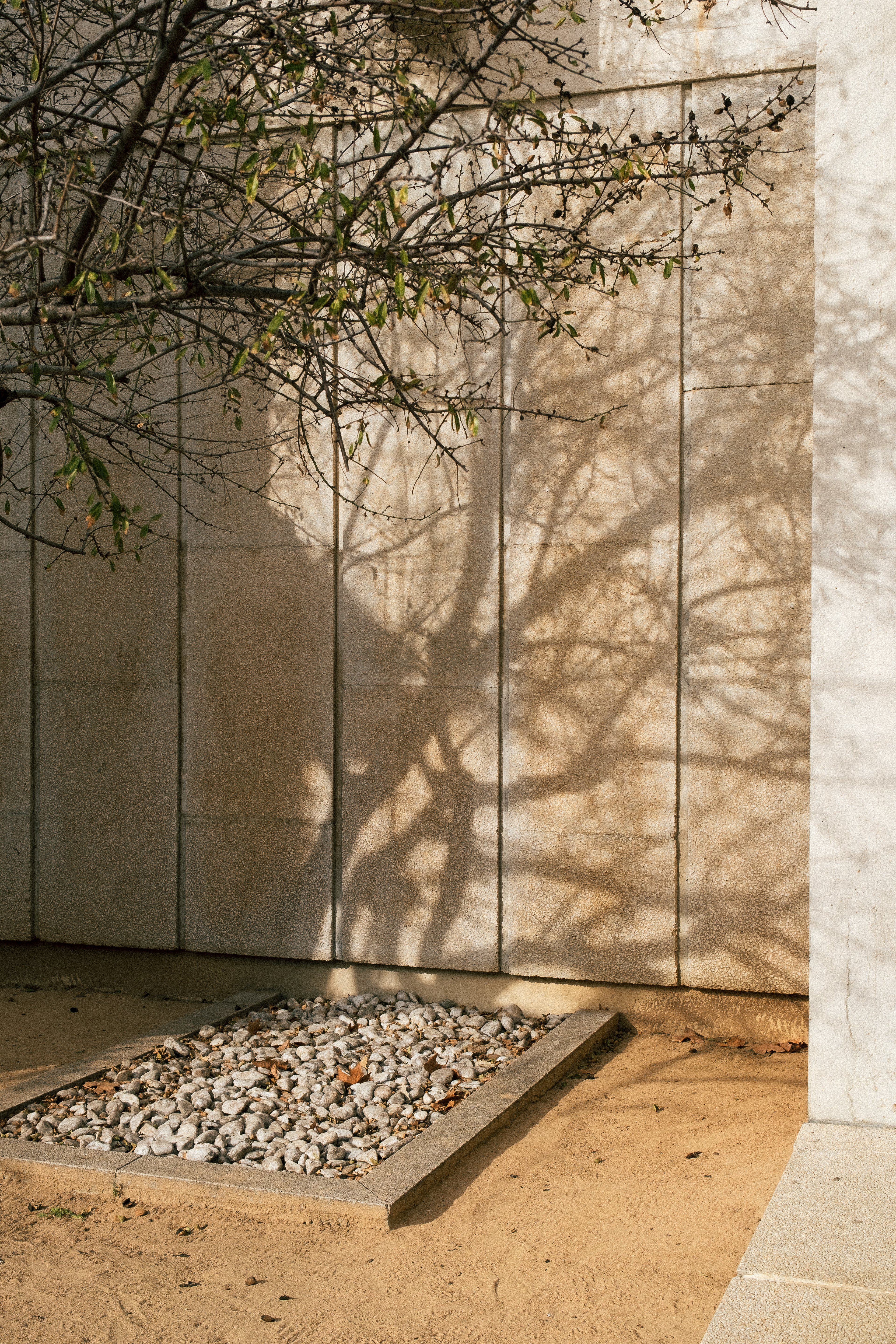 Fundació Joan Miró, 2023.