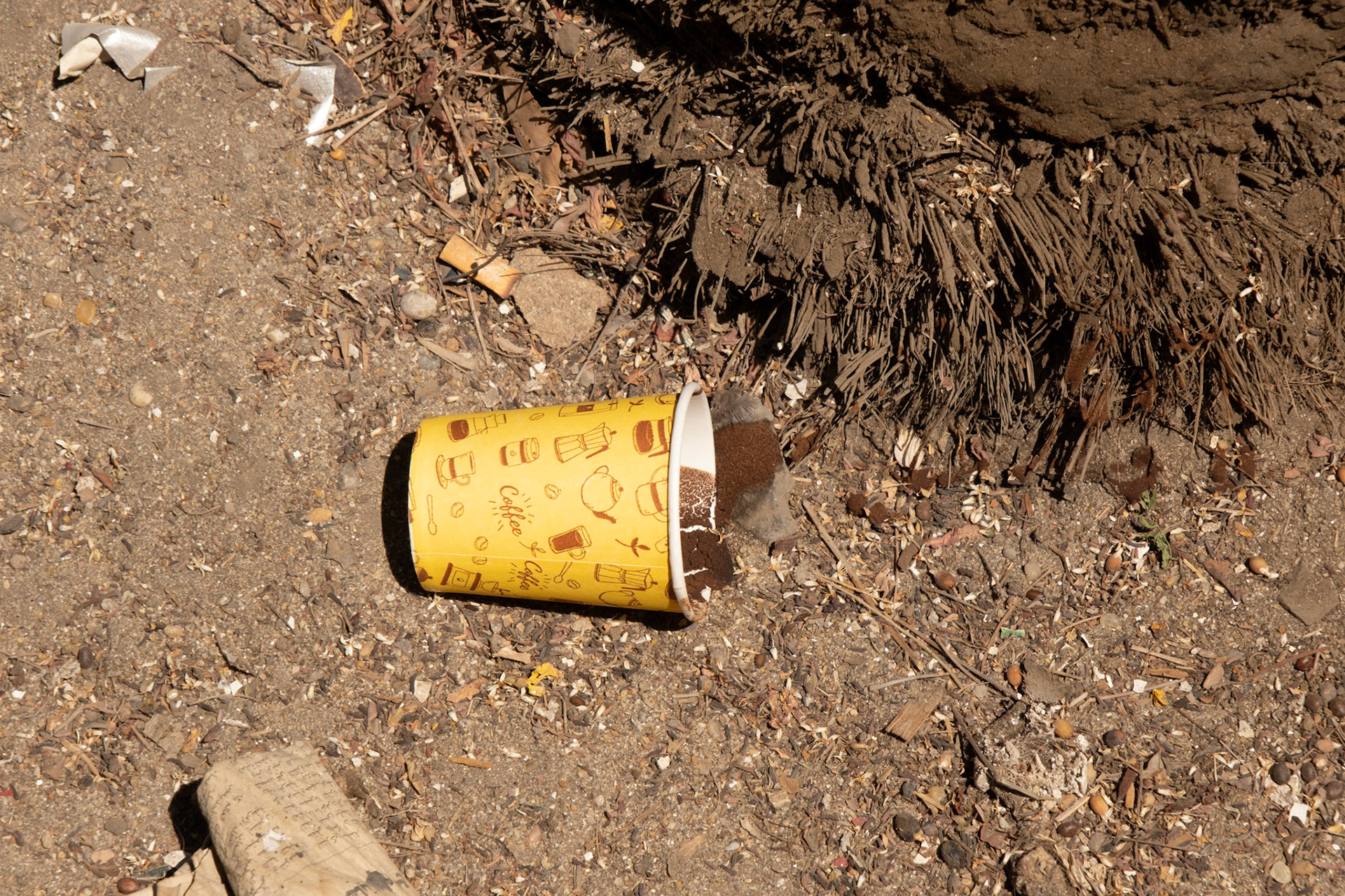 Arab coffee in Cairo, Egypt