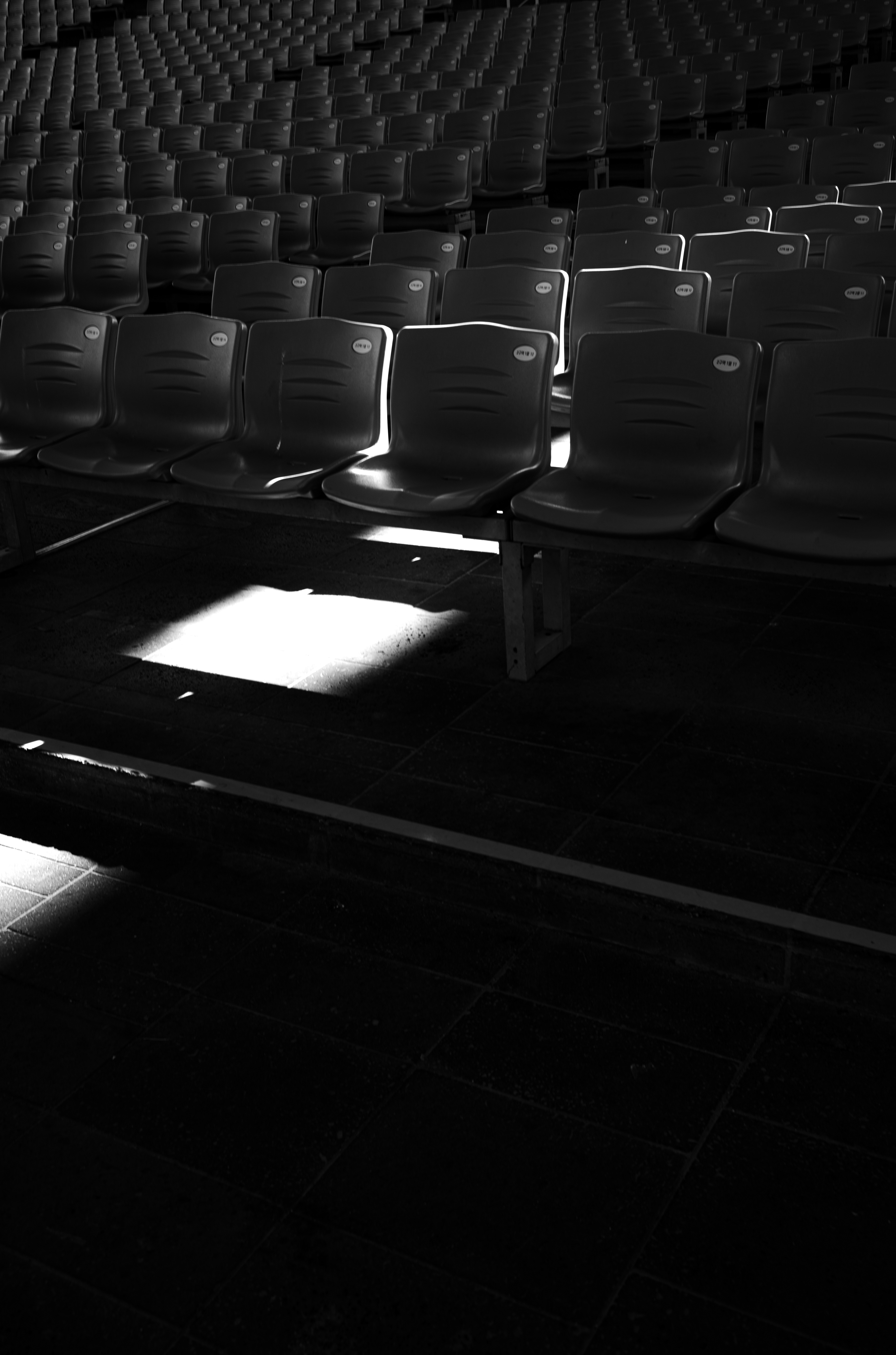 Spotlight