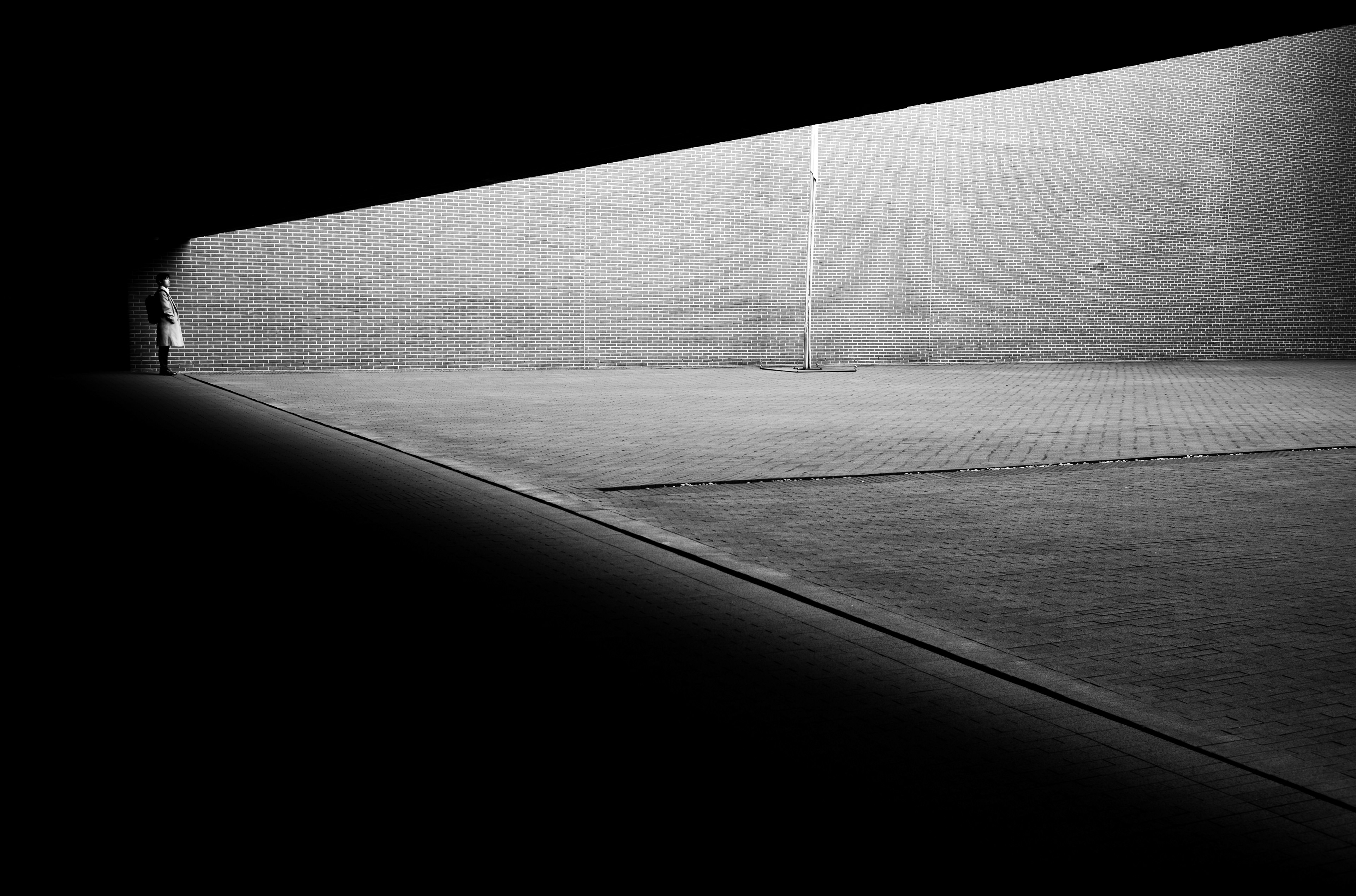 A Bright future, 2024