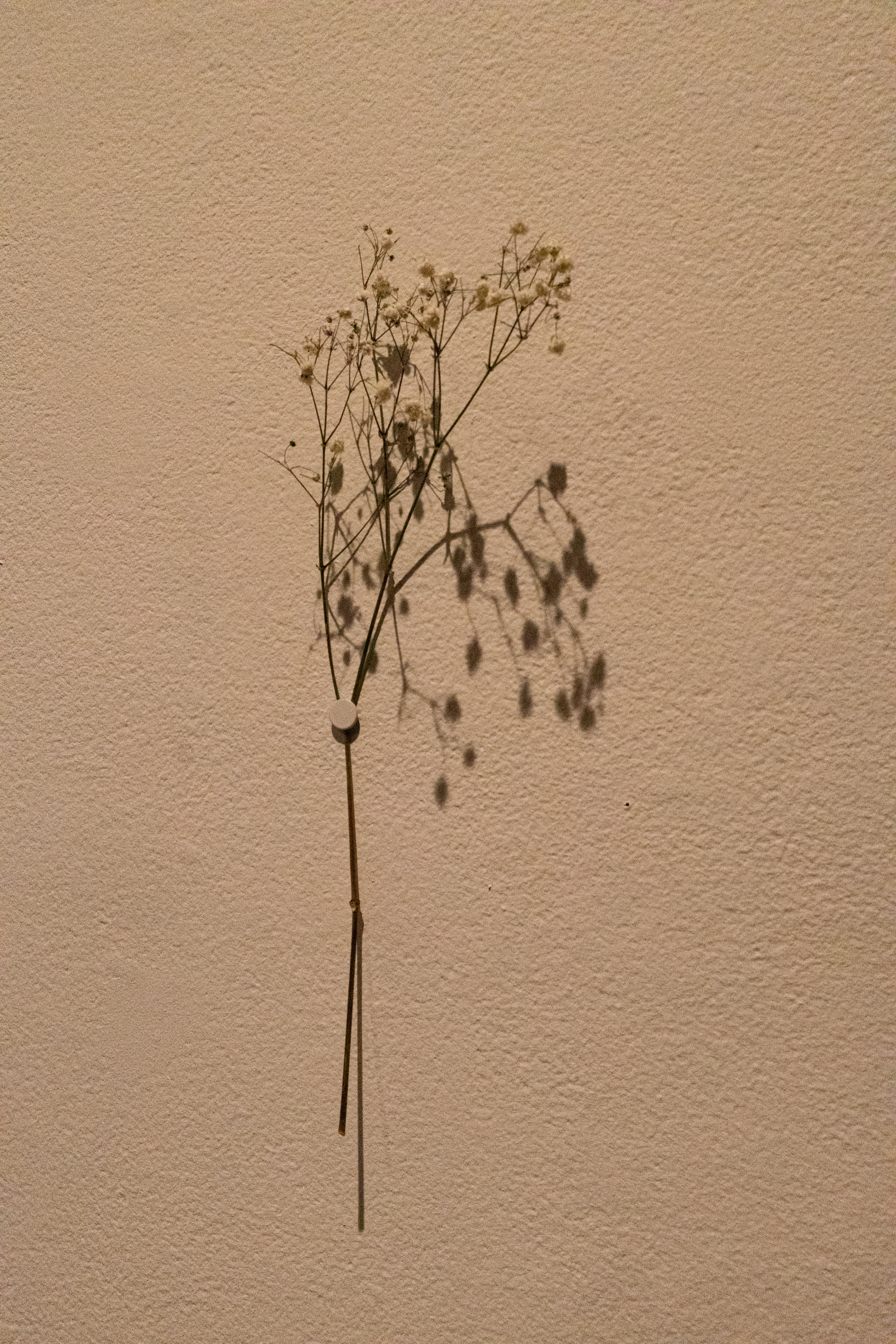 ongoing, flowers for moms detail