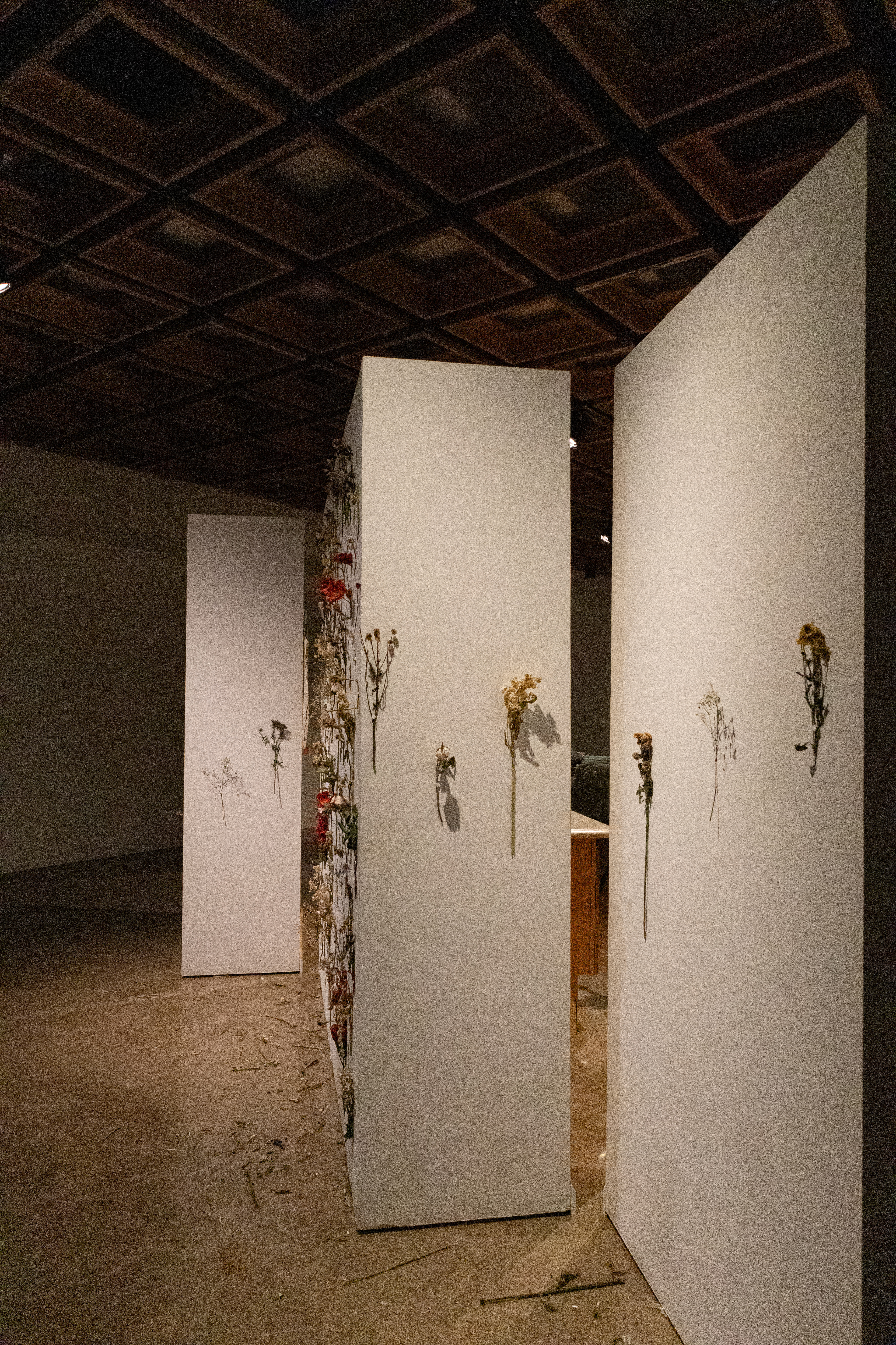view of ongoing, flowers for moms