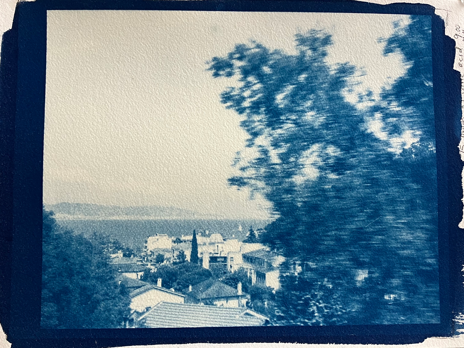 cyanotype, 2023