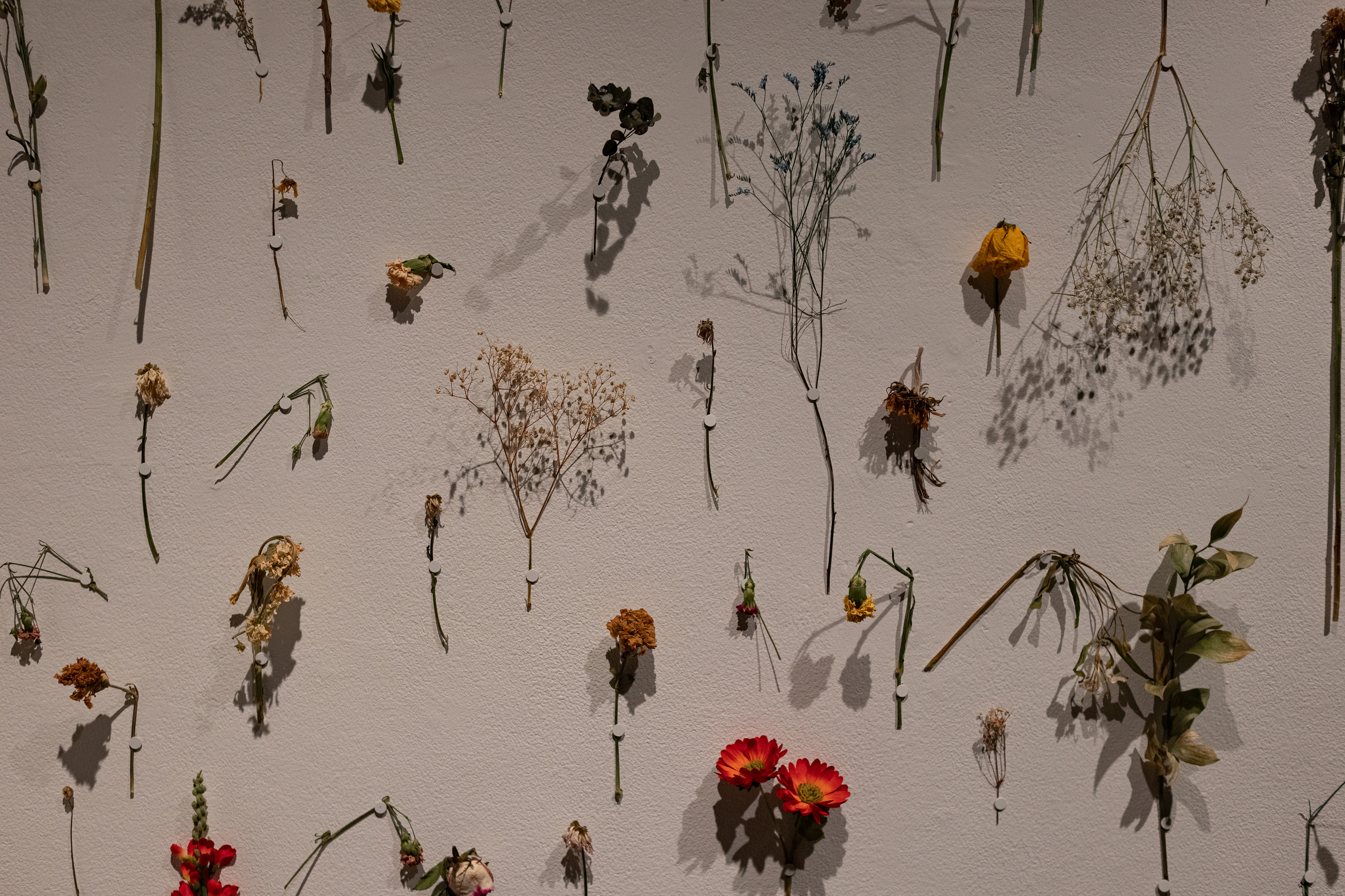 ongoing, flowers for moms detail