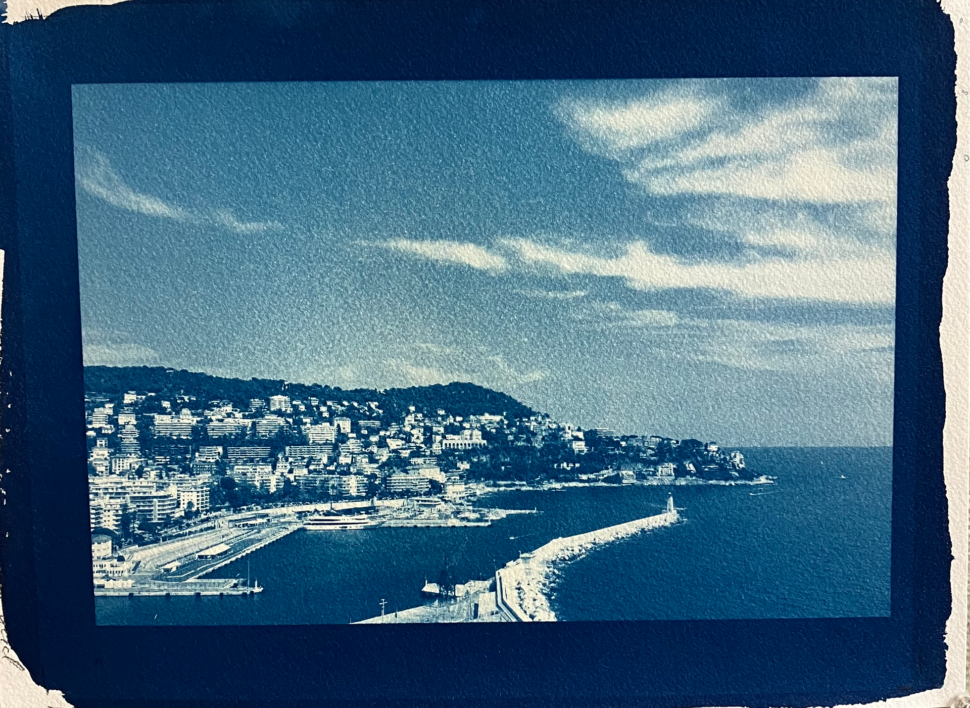 cyanotype, 2023