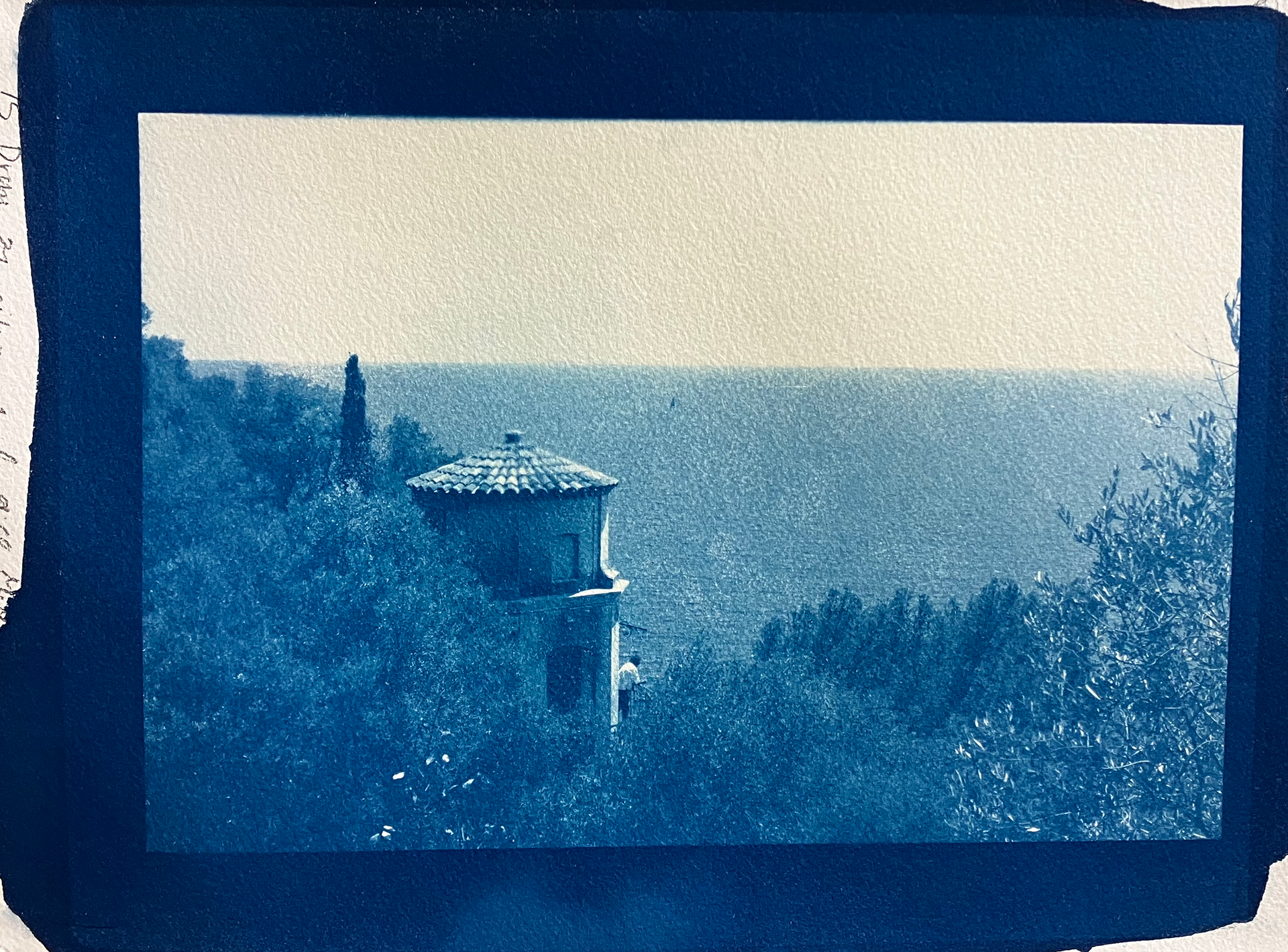 cyanotype, 2023