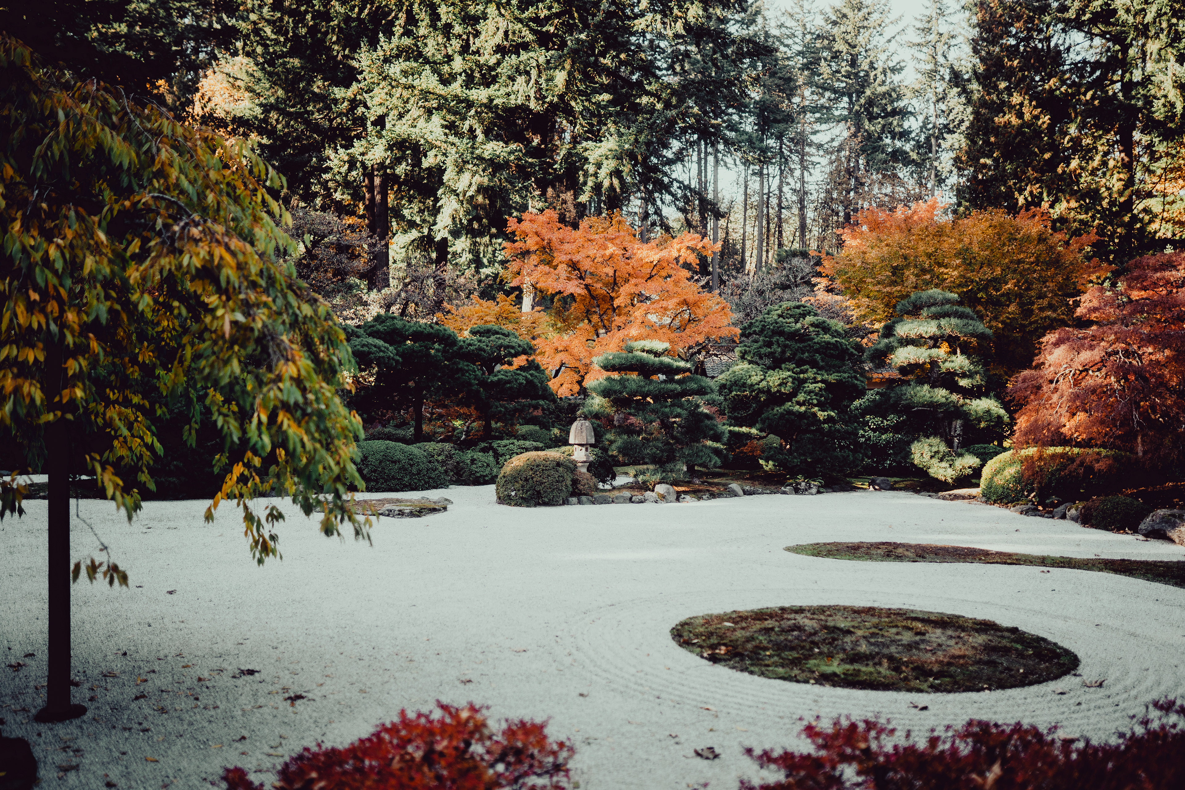 oregon, nov 2022