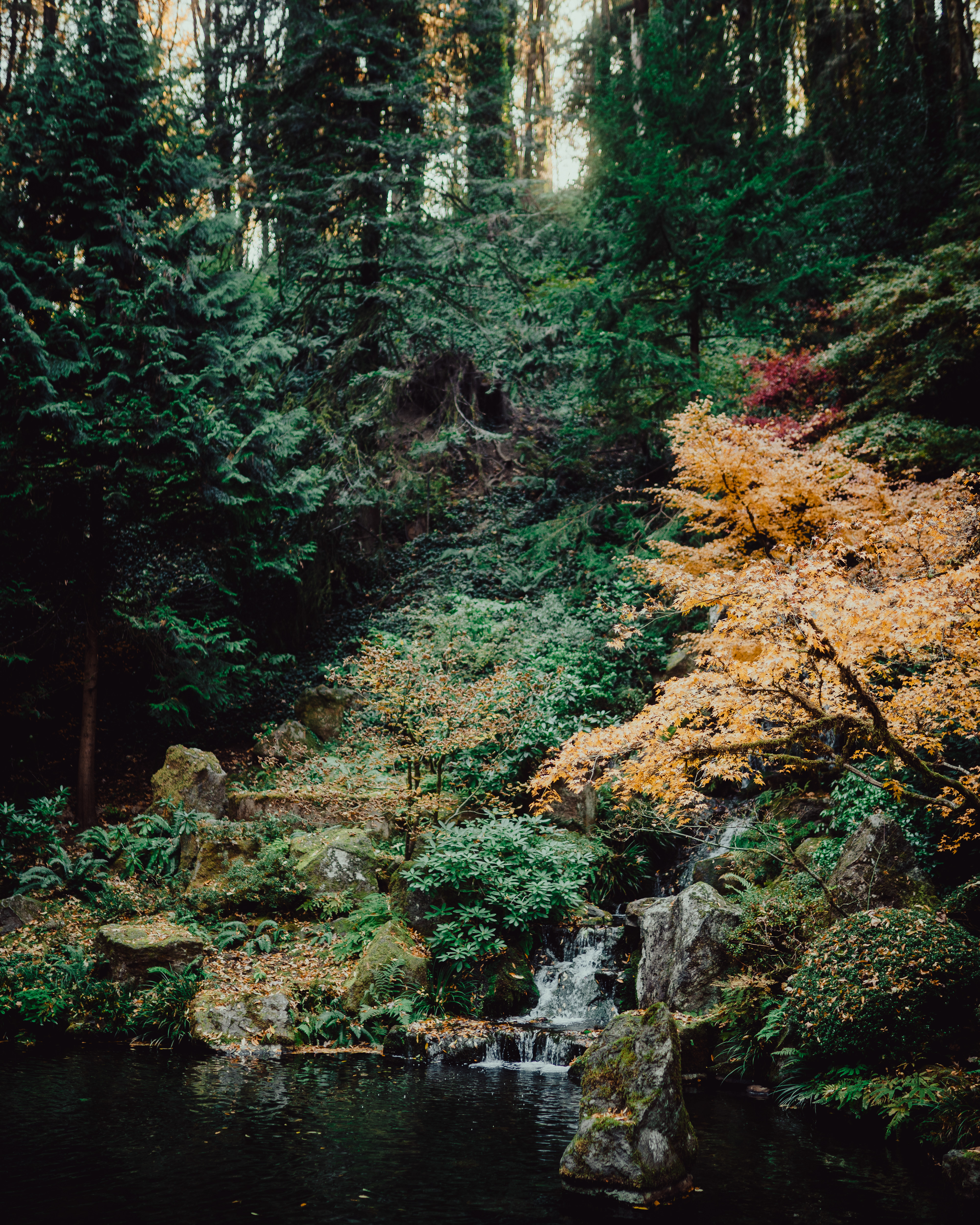 oregon, nov 2022