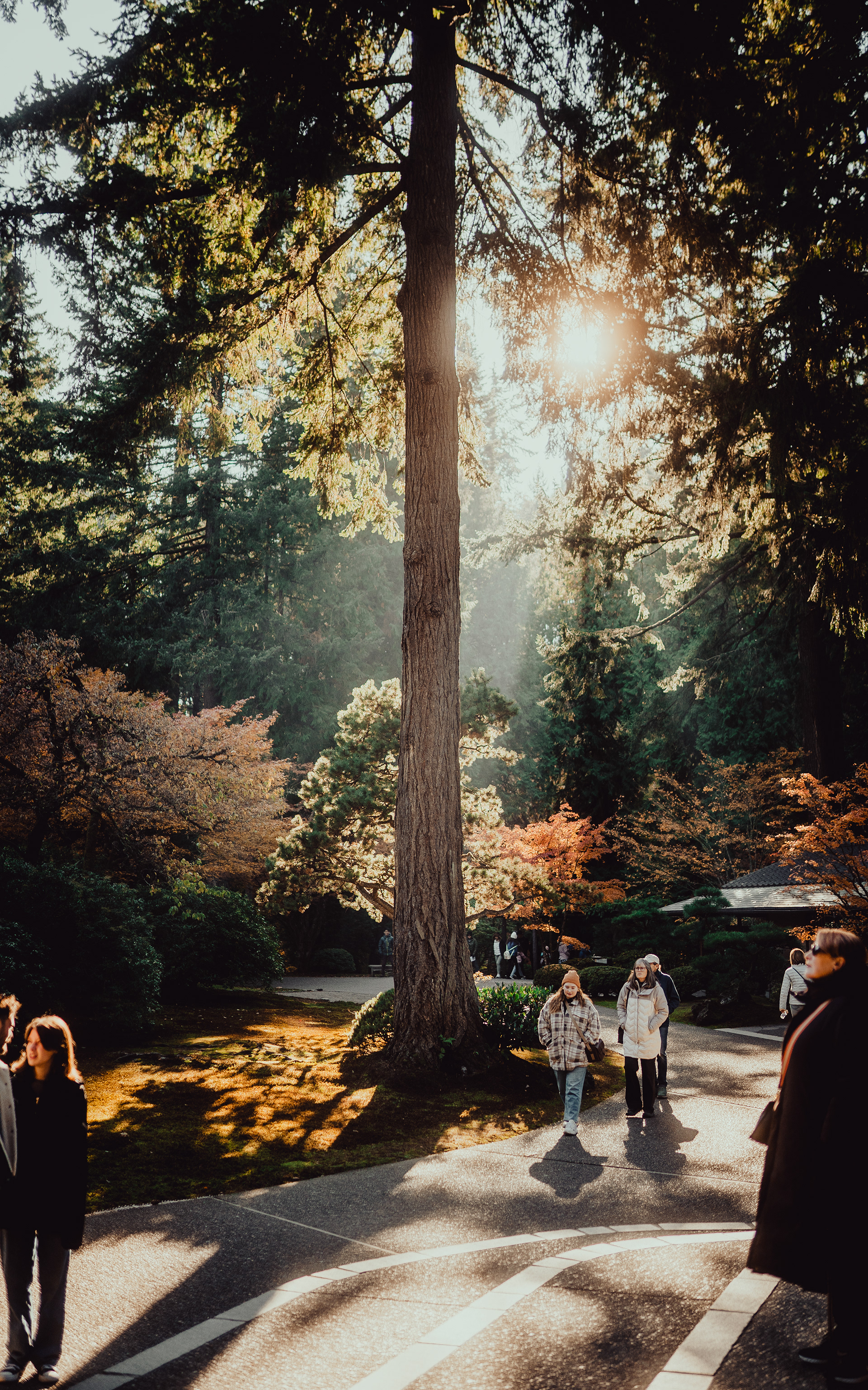 oregon, nov 2022