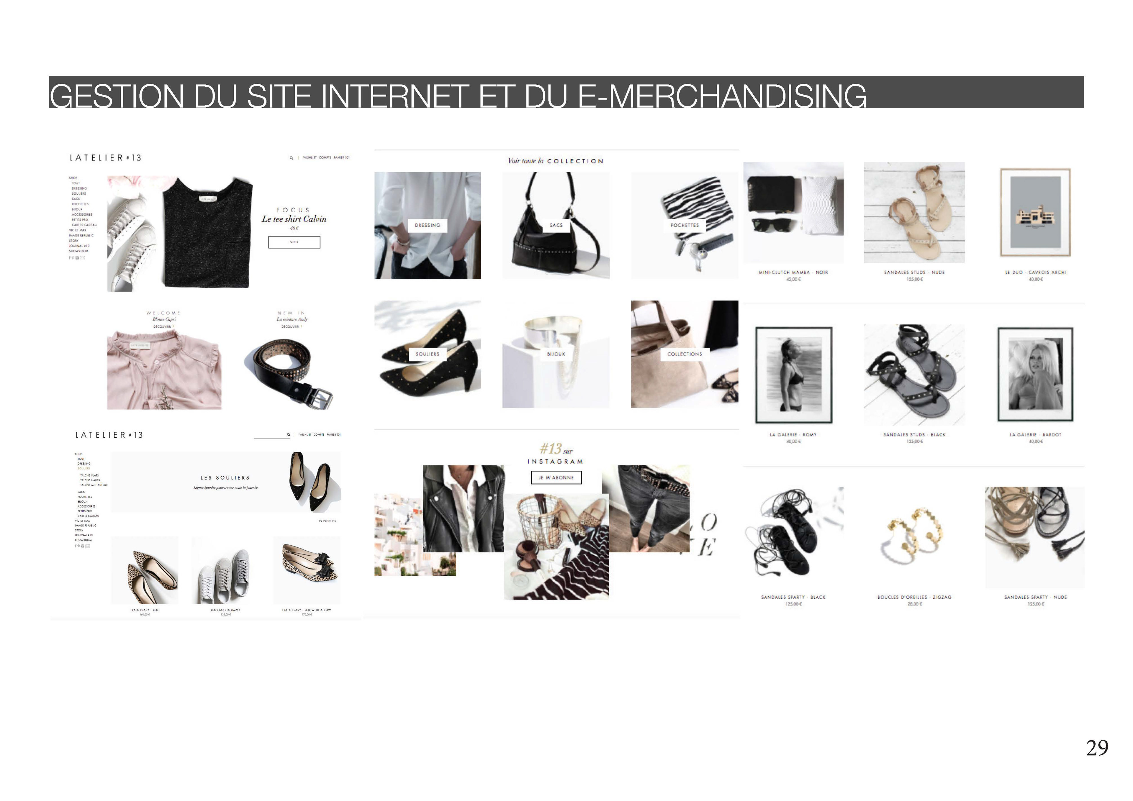  E-merchandising and website management