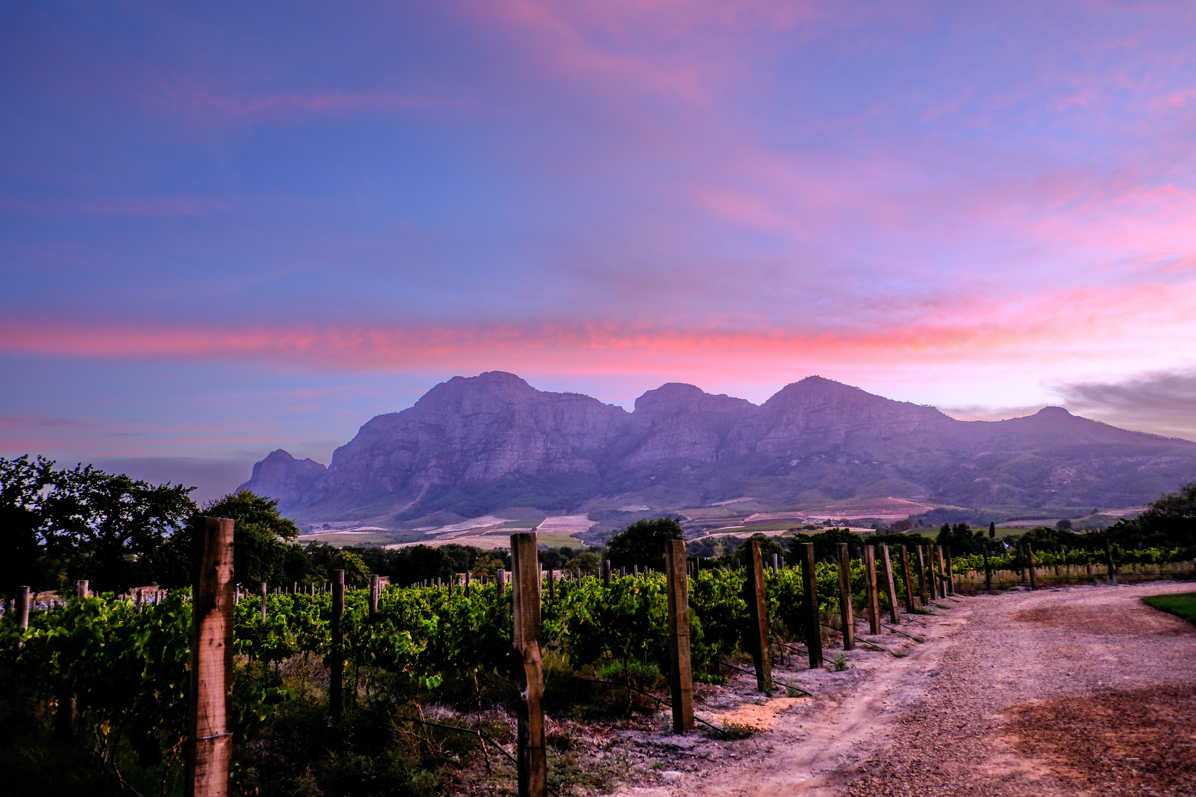 Stellenbosch - Zuid-Afrika