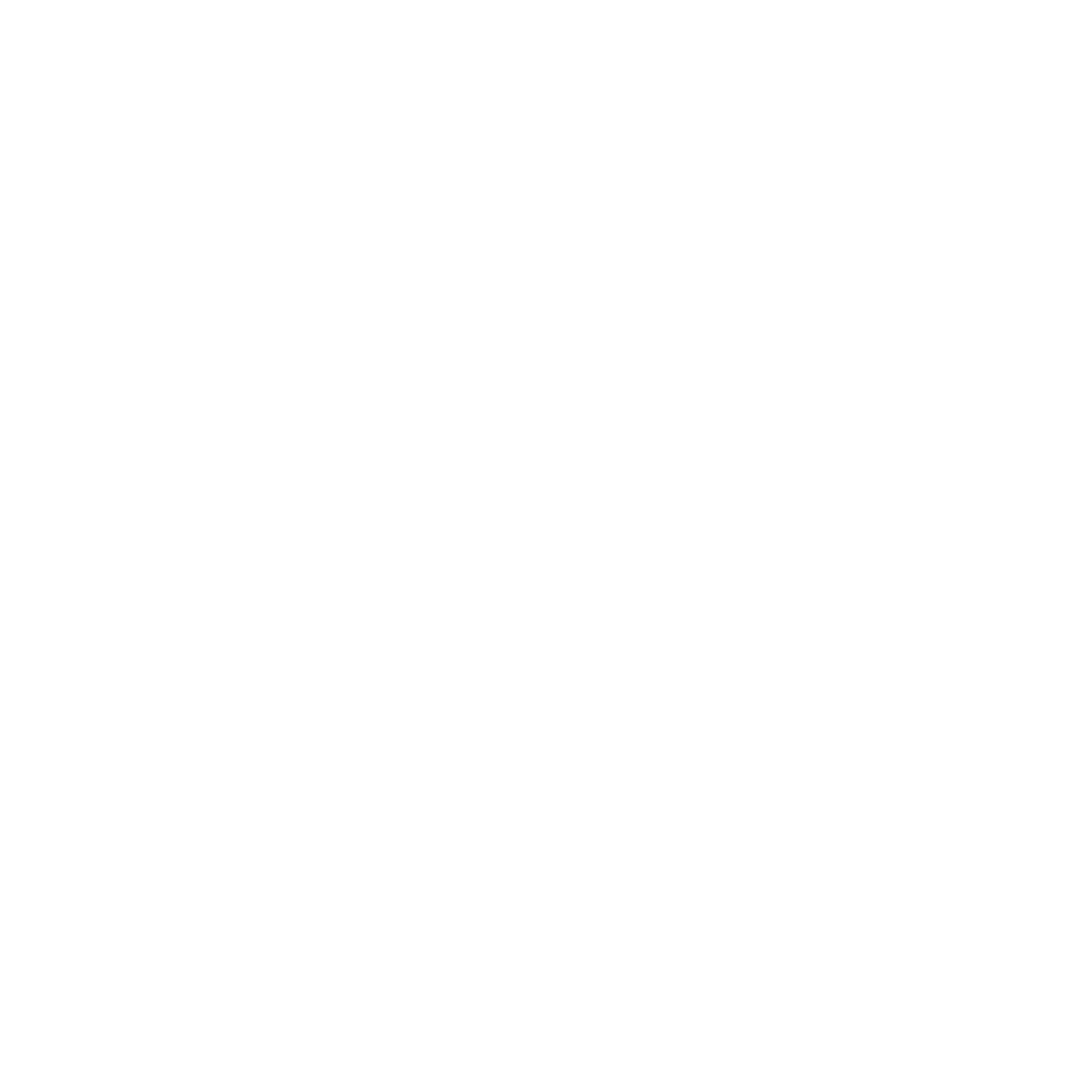 Koala Symphony | Christian Kapper