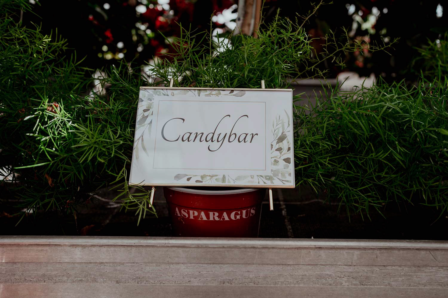 Hier gehts zur Candybar