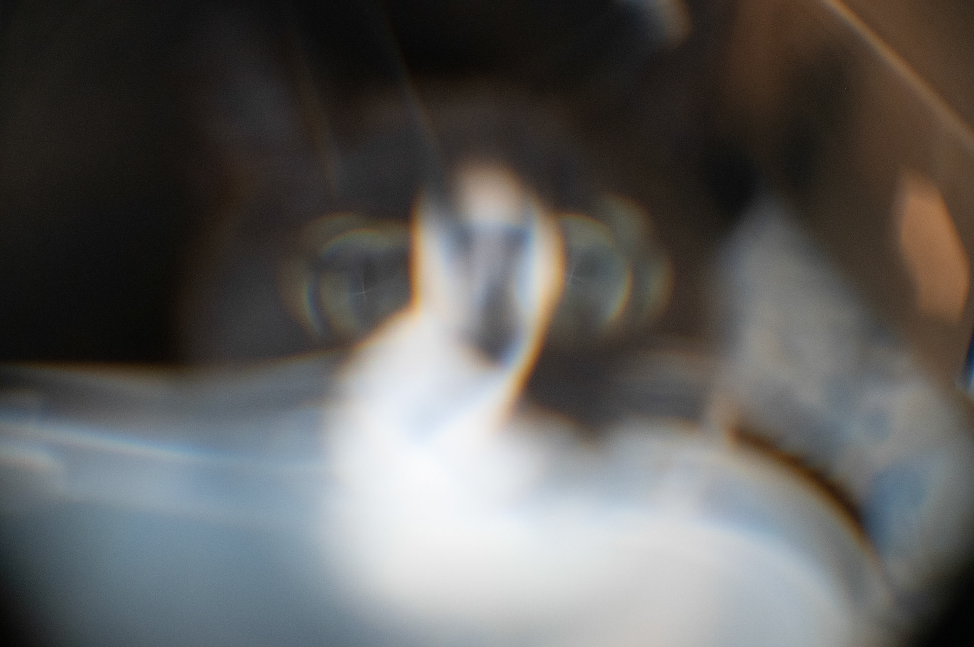 Olivia out of focus(Cat) - Shot with lens on Z6