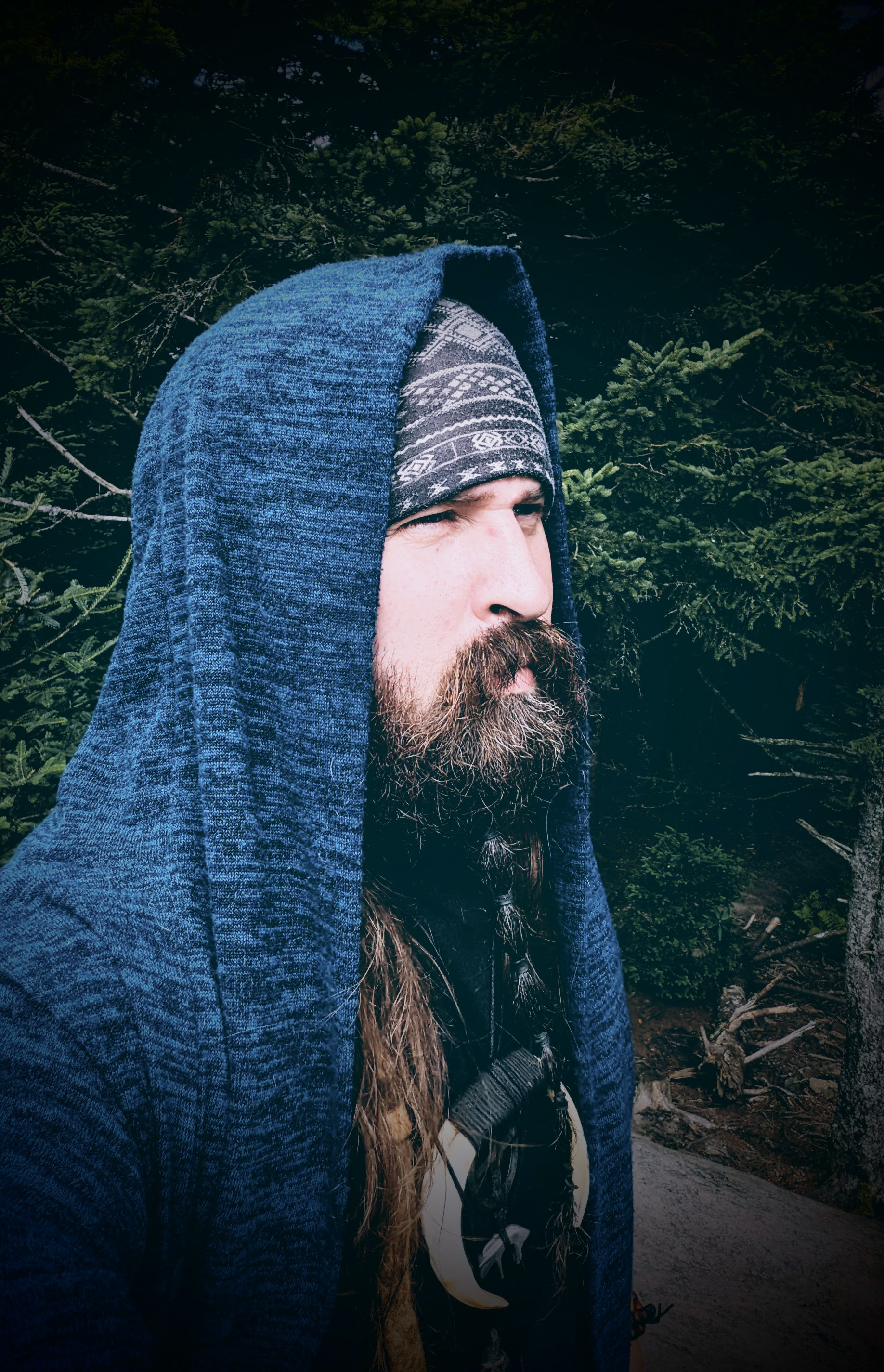 Gaulish Druidism, Gaulish Polytheism