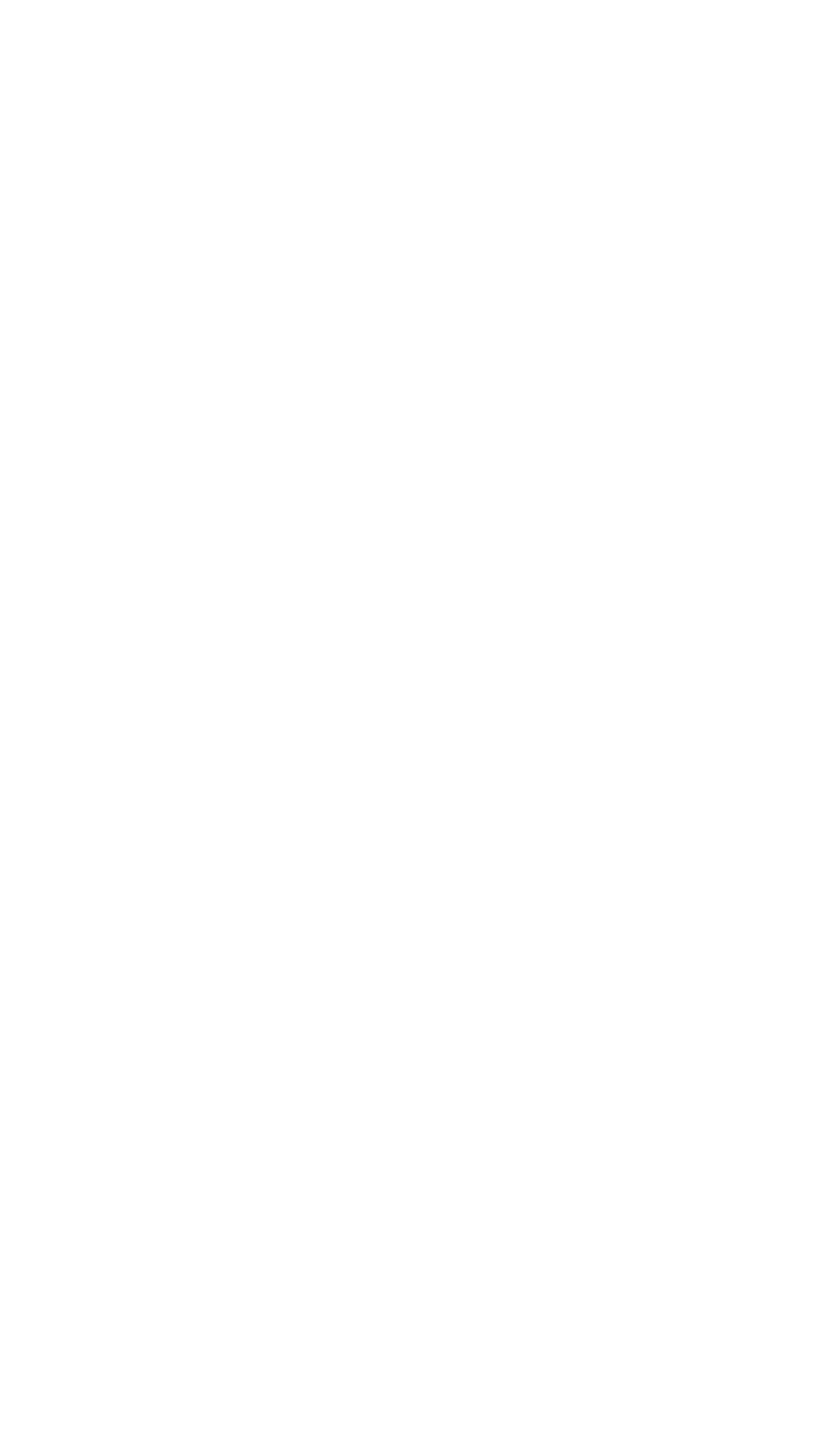Toutatis