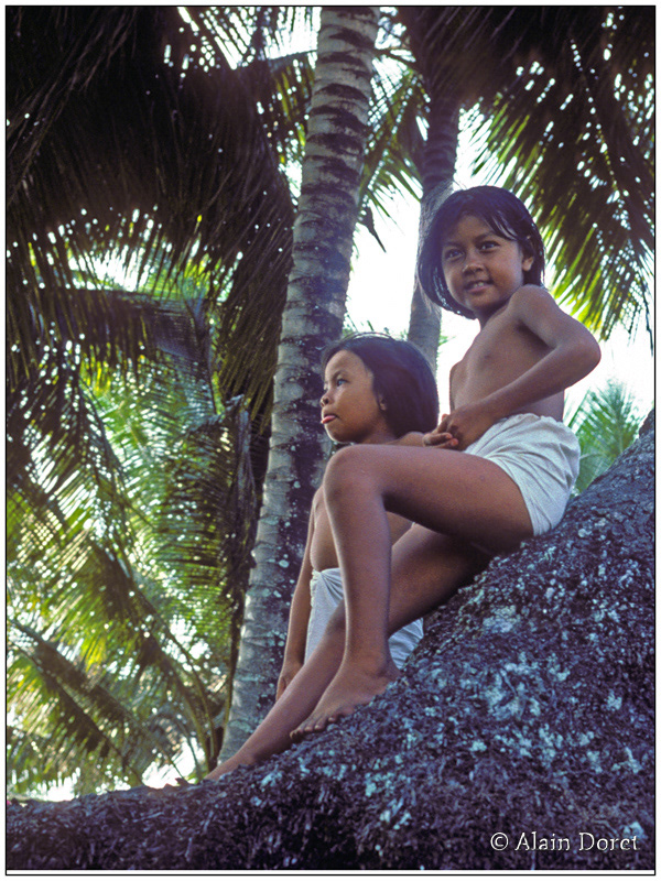 Malaisie île de Bornéo