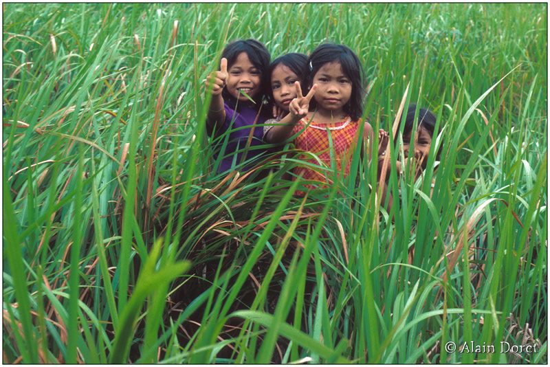 Malaisie îlre de Bornéo