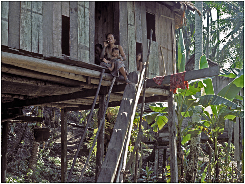 Malaisie île de Bornéo