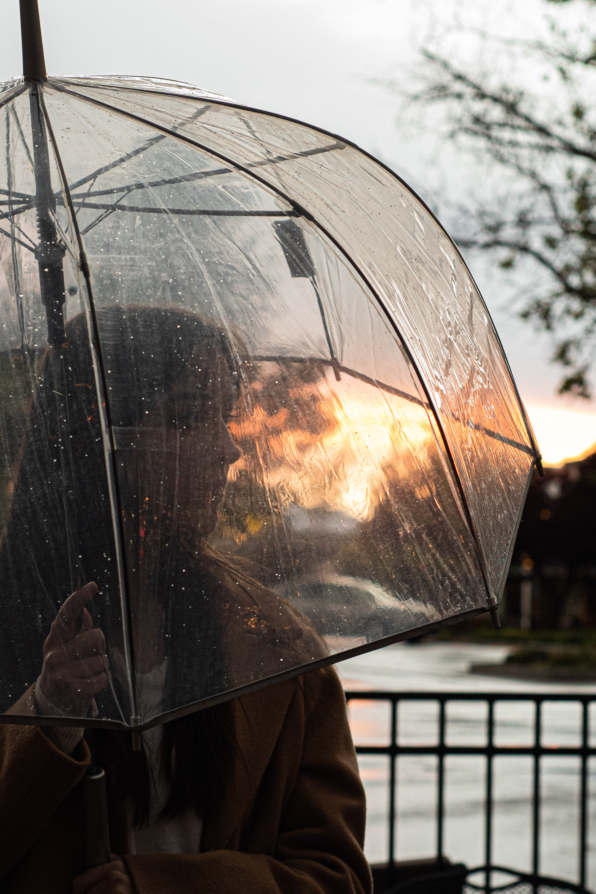 Sunset Through Umbrella
