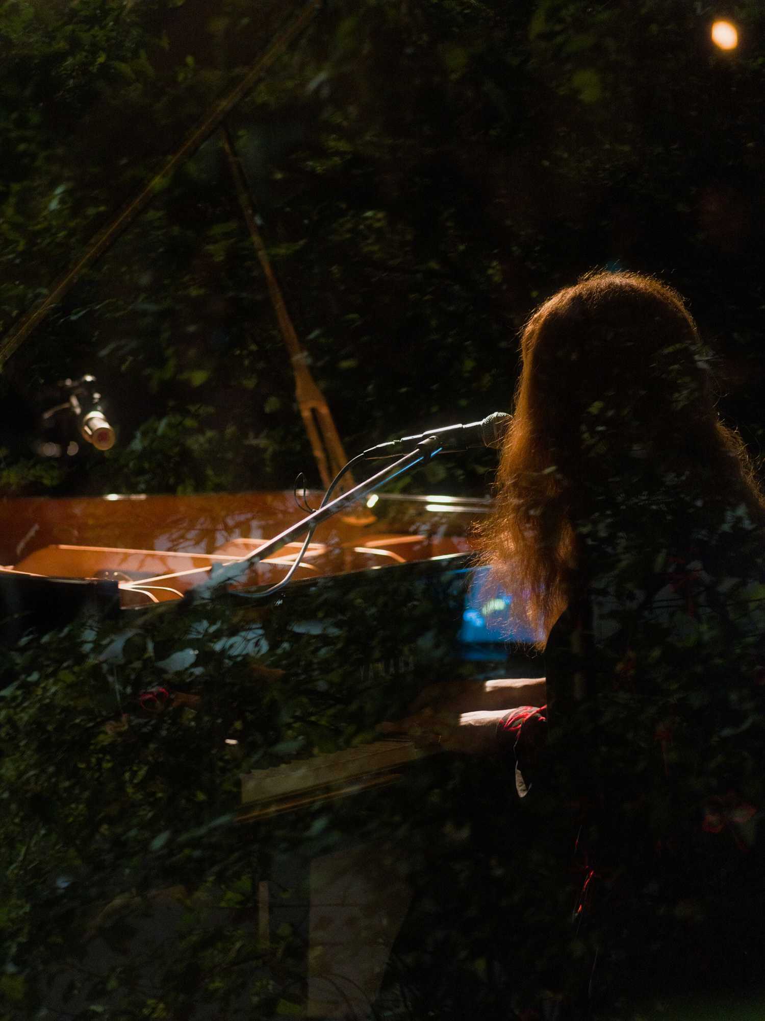 © Alexis Rodríguez Cancino. All Rights Reserved.