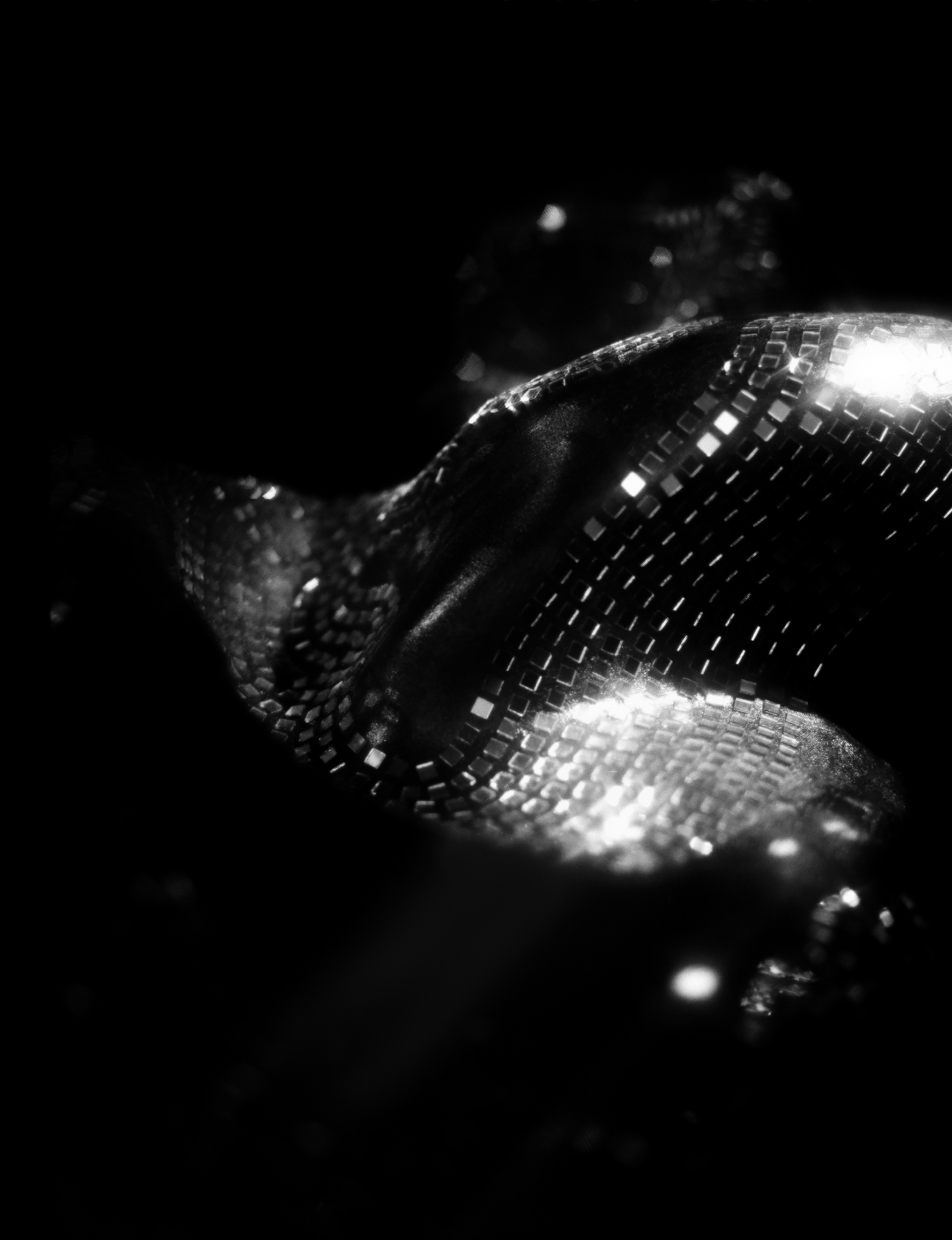 © Alexis Rodríguez Cancino. All Rights Reserved.