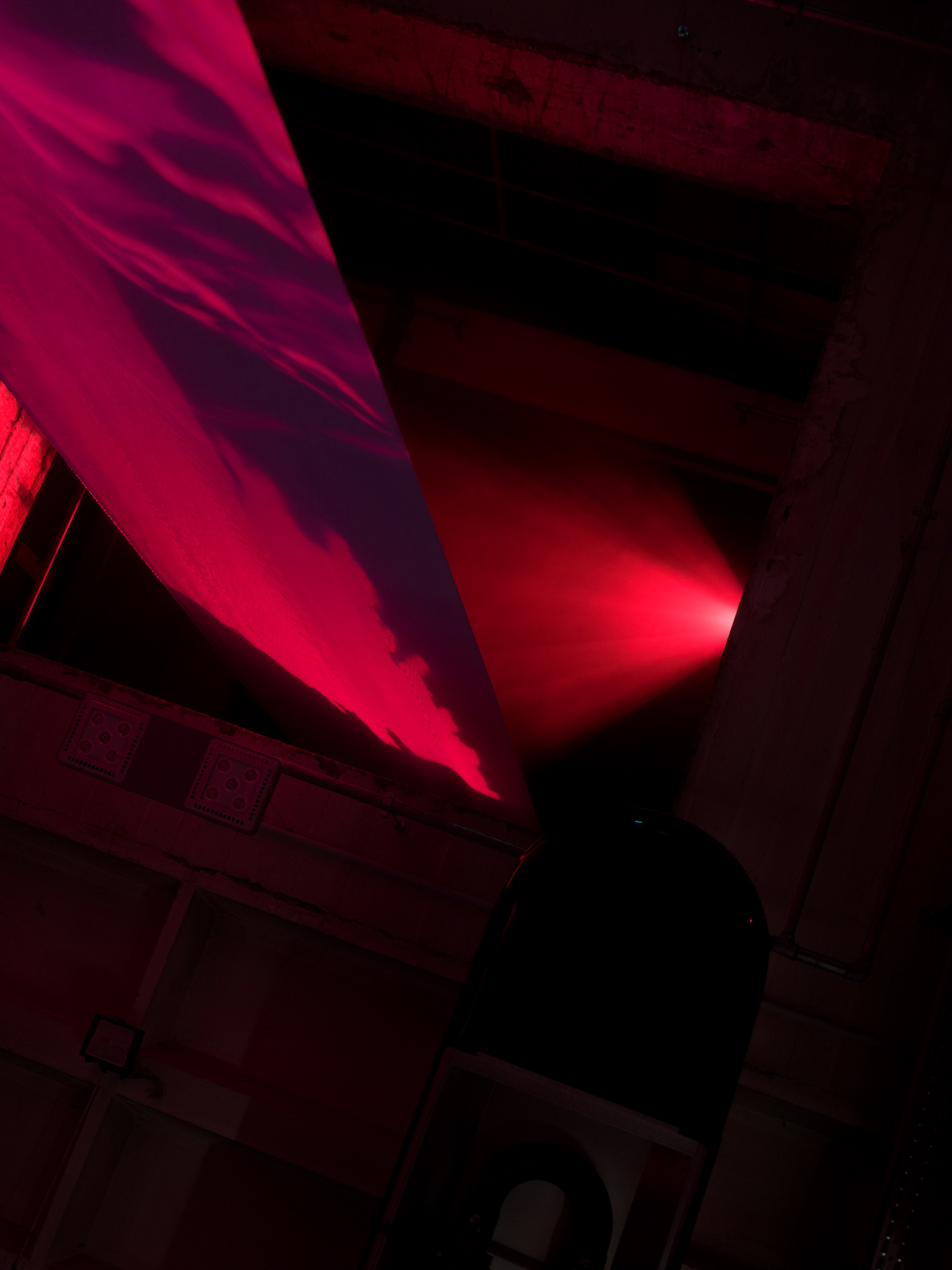 © Alexis Rodríguez Cancino. All Rights Reserved.